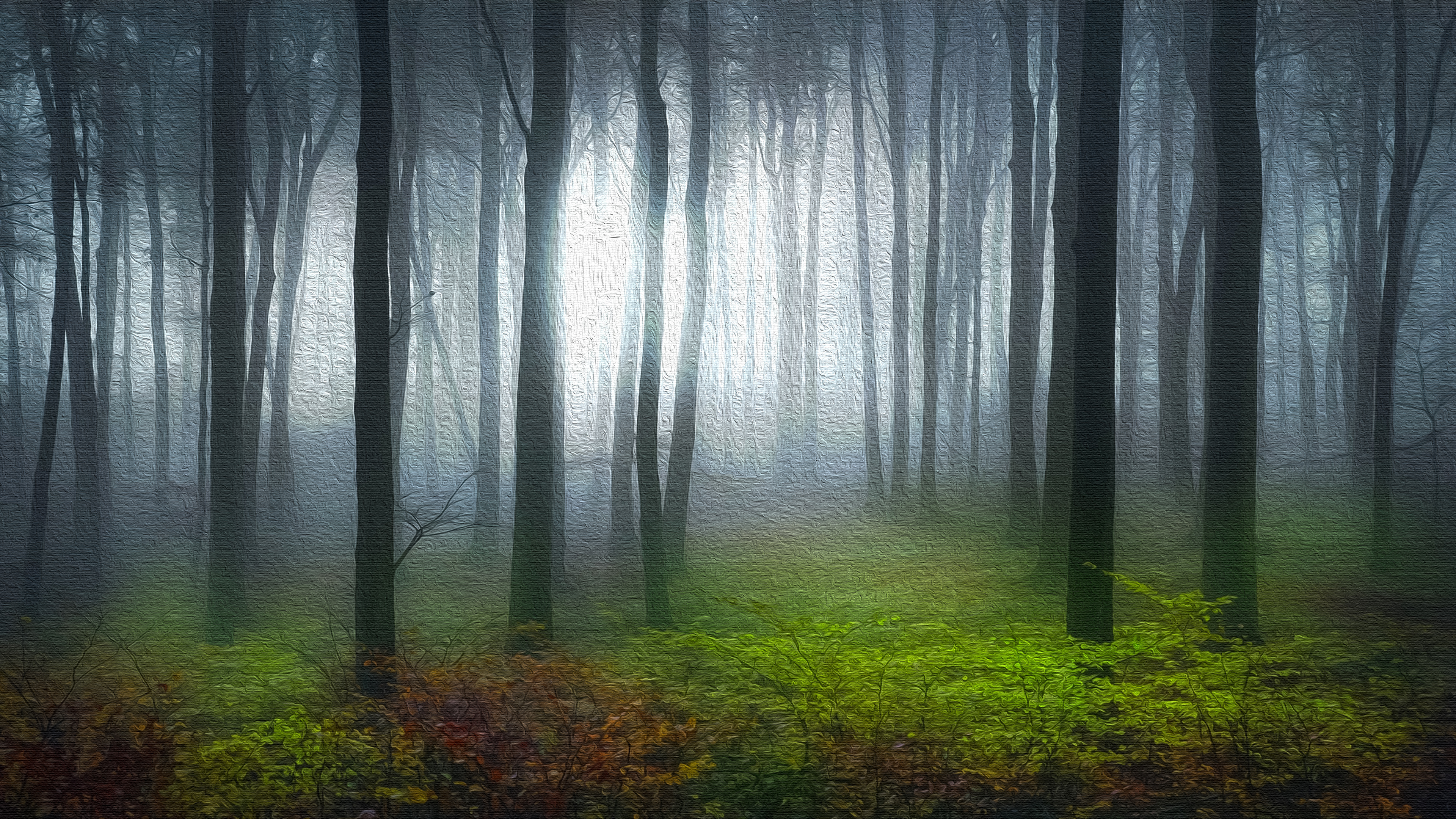Free download wallpaper Forest, Tree, Artistic on your PC desktop
