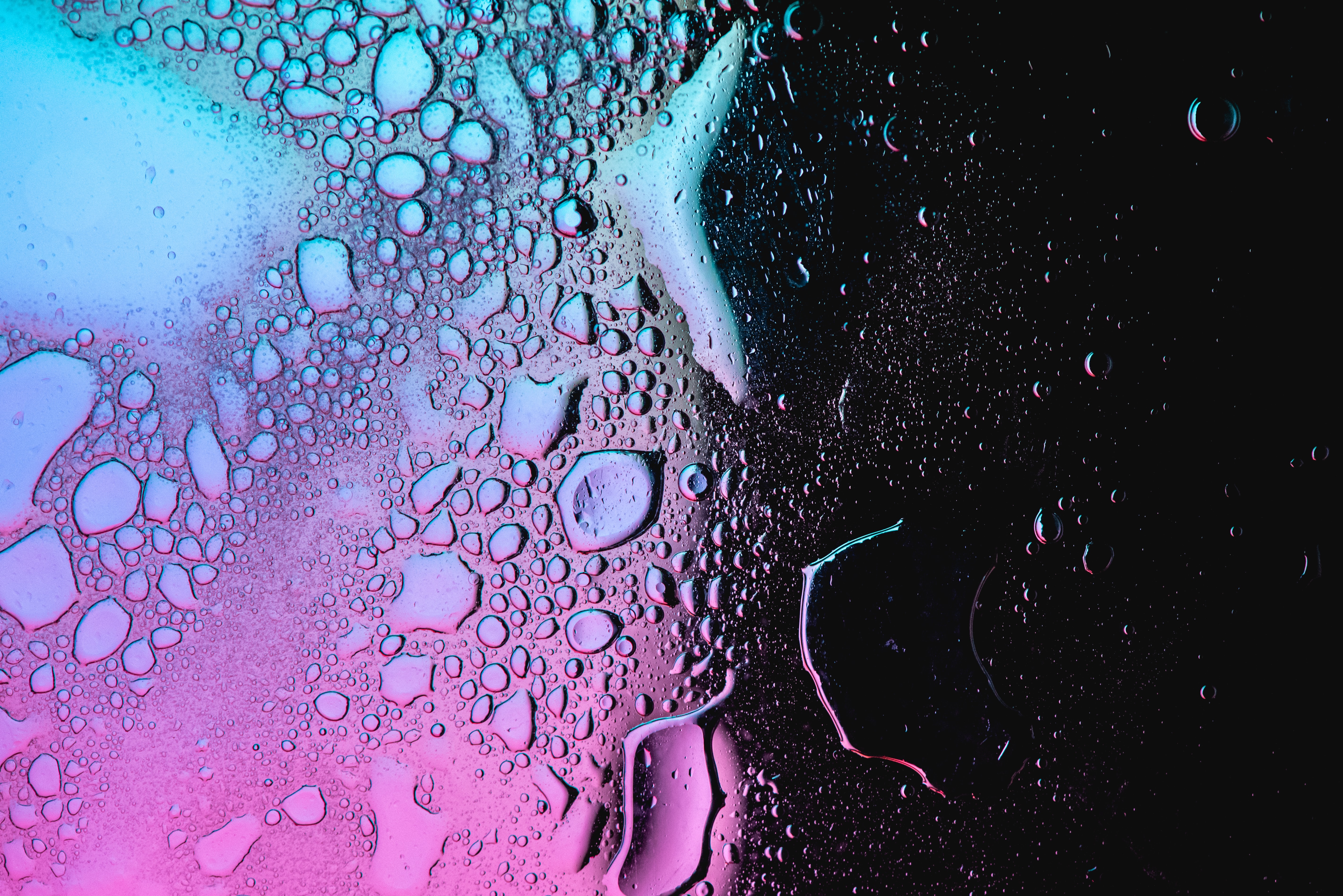 abstract, drops, gradient, humidity HD wallpaper