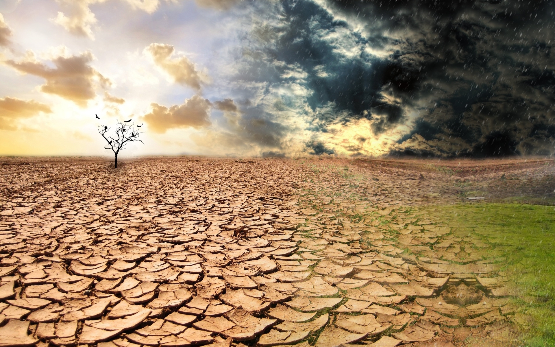 Деградация почв, эрозия, опустынивание