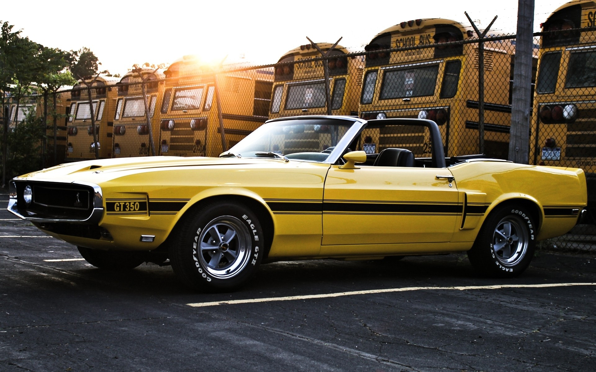 convertible, vehicles, ford shelby gt350, muscle car, yellow car, ford