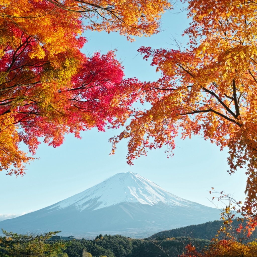 1099299 Hintergrundbild herunterladen erde/natur, fujisan, fujiyama, japan, vulkane - Bildschirmschoner und Bilder kostenlos