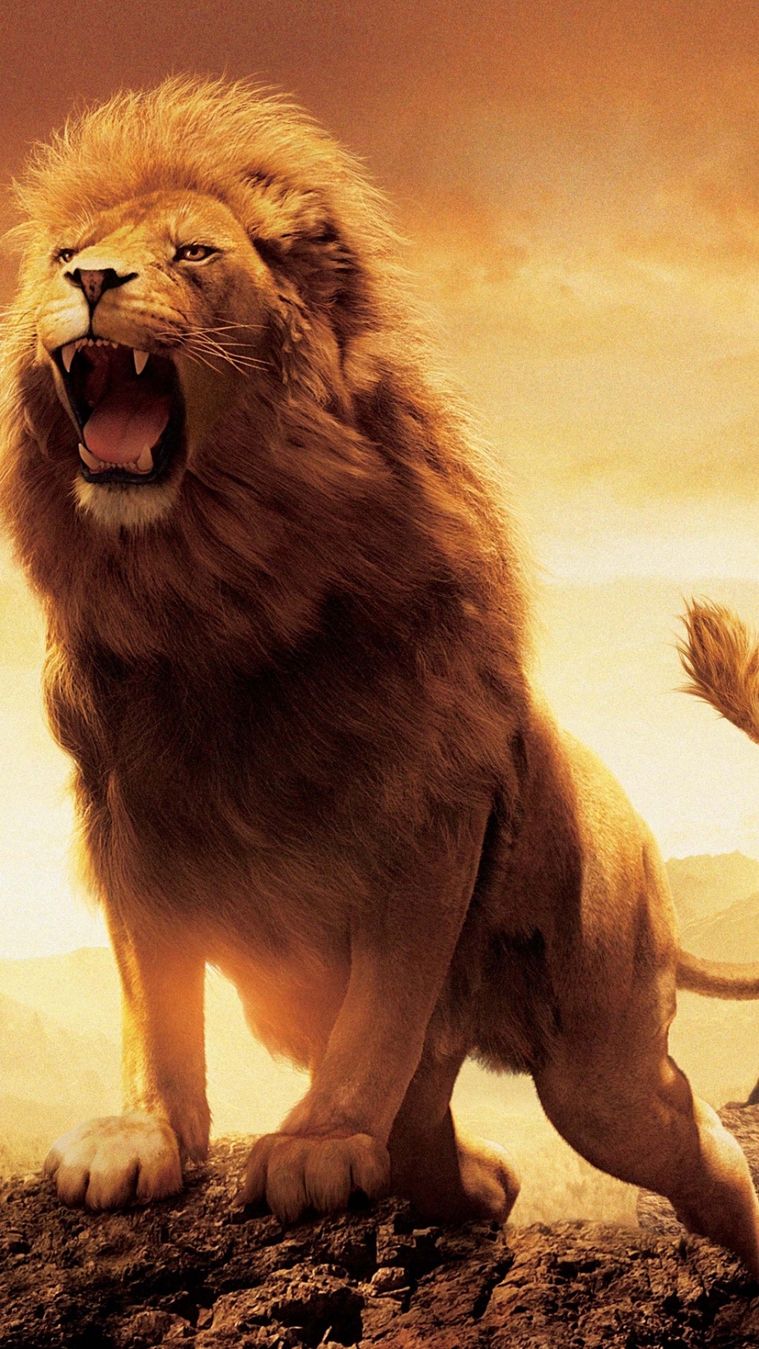 Baixar papel de parede para celular de Leão, Filme, As Crônicas De Nárnia: O Leão A Feiticeira E O Guarda Roupa, As Crônicas De Narnia, Aslan gratuito.