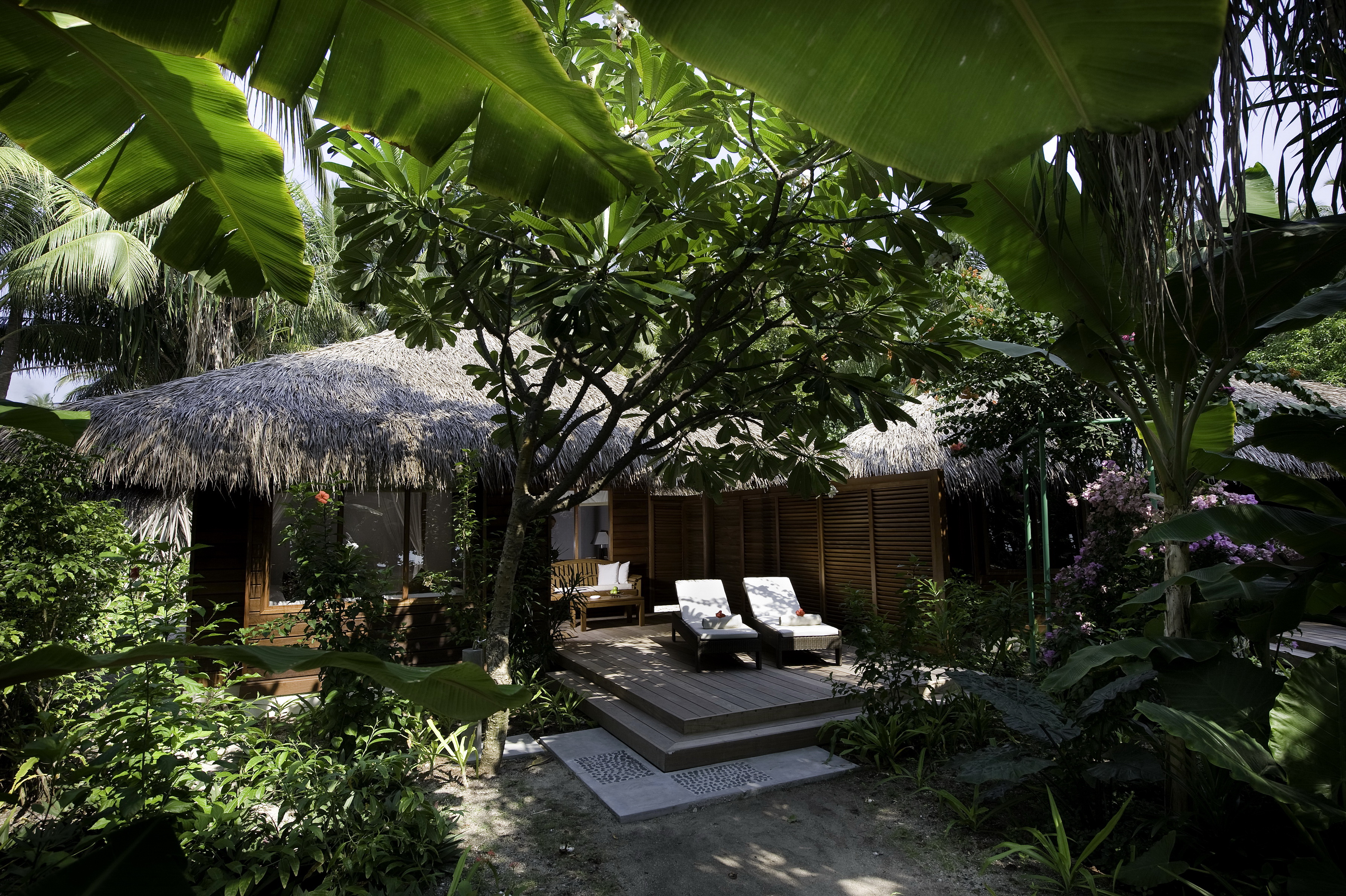 540870 скачать обои тропический, дом, сделано человеком, джунгли - заставки и картинки бесплатно
