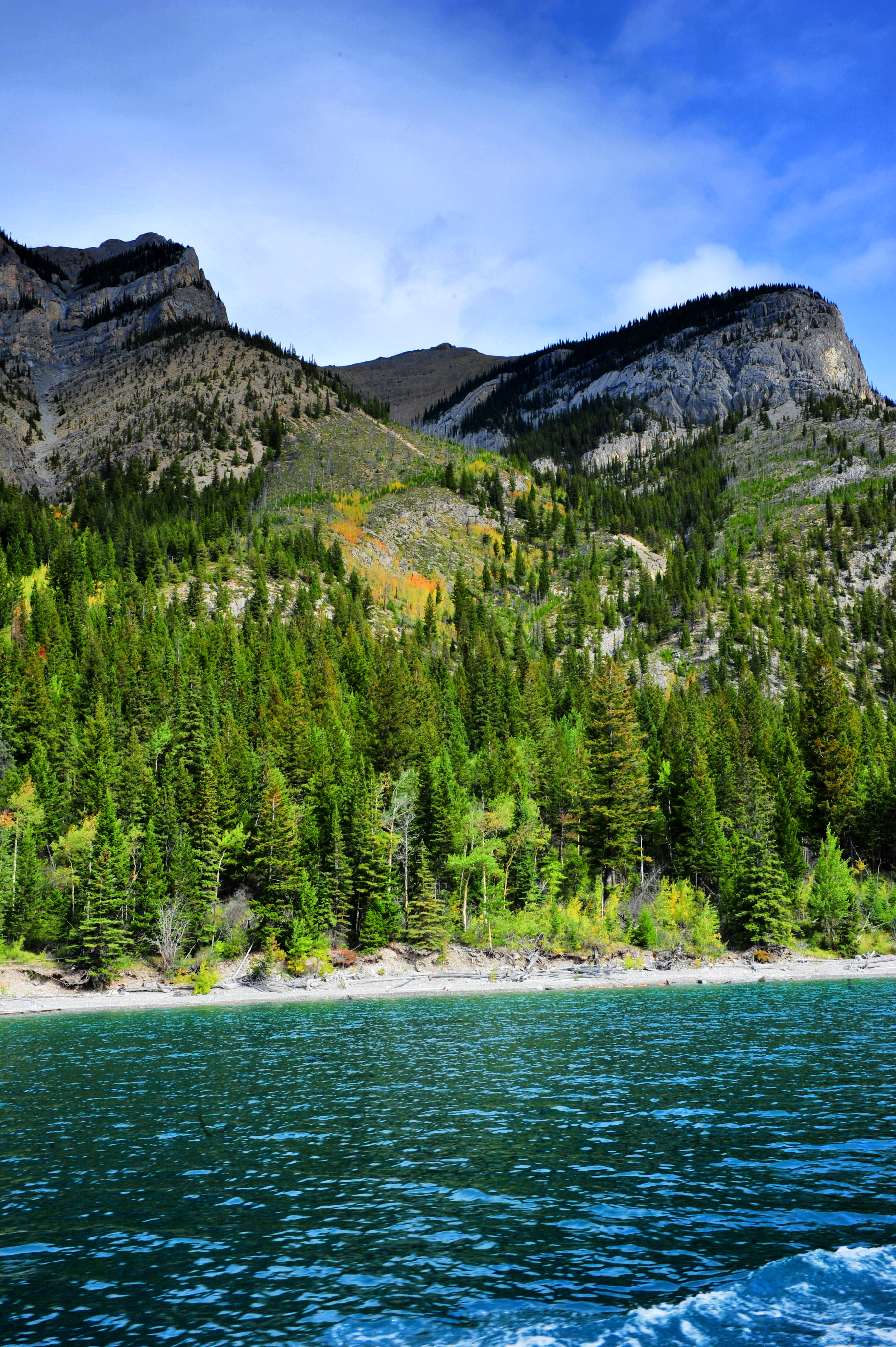 Laden Sie das Natur, Wasser, Bäume, Wald, Linderung, Erleichterung, Mountains-Bild kostenlos auf Ihren PC-Desktop herunter