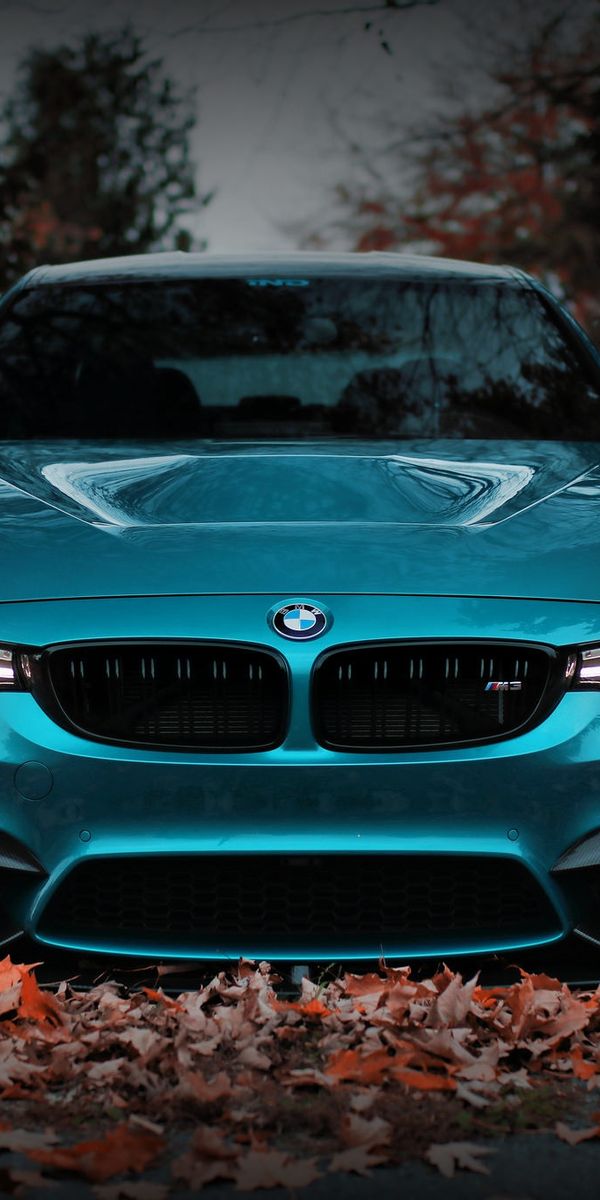 BMW iphone x