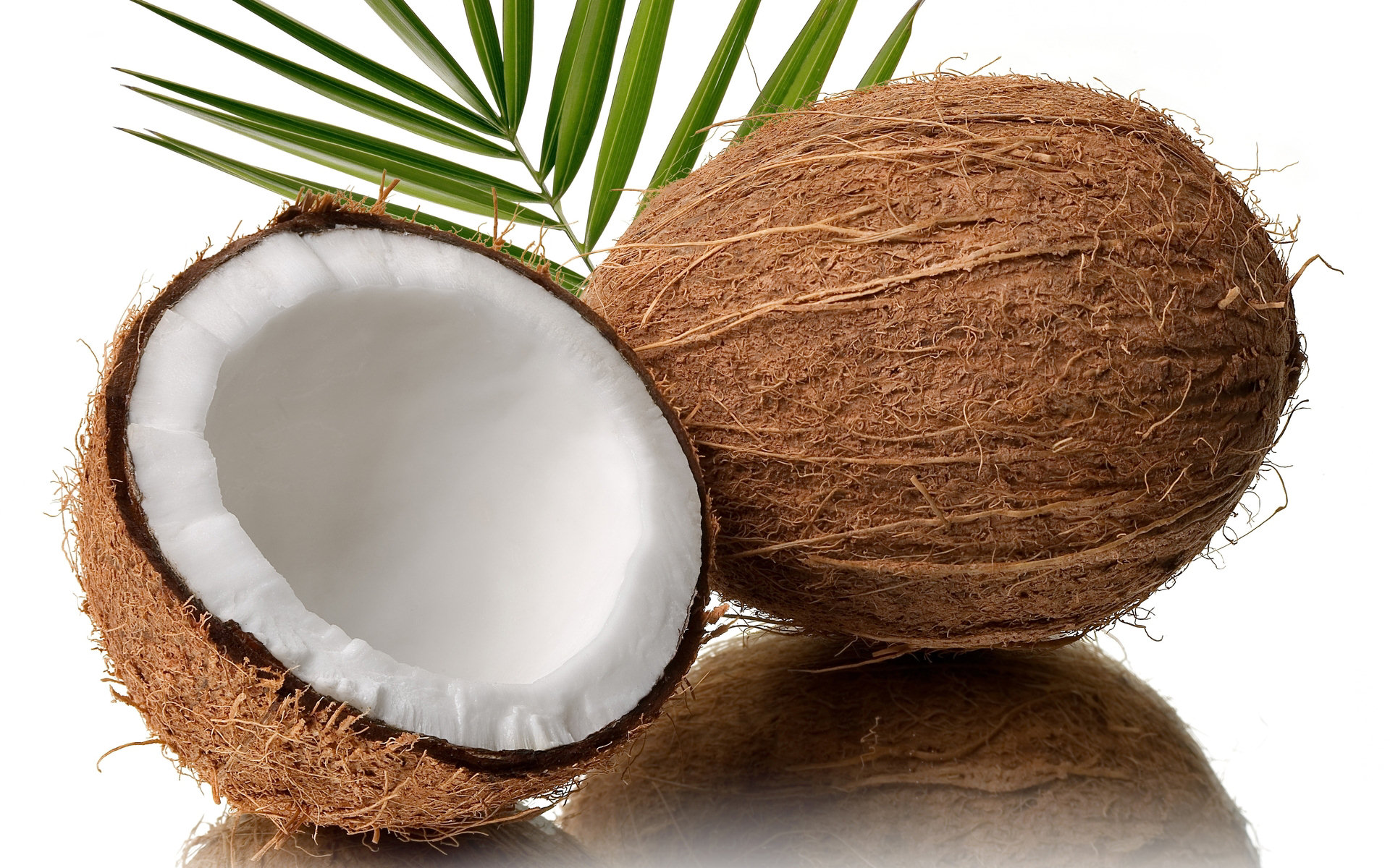 HD Coconut Android Images