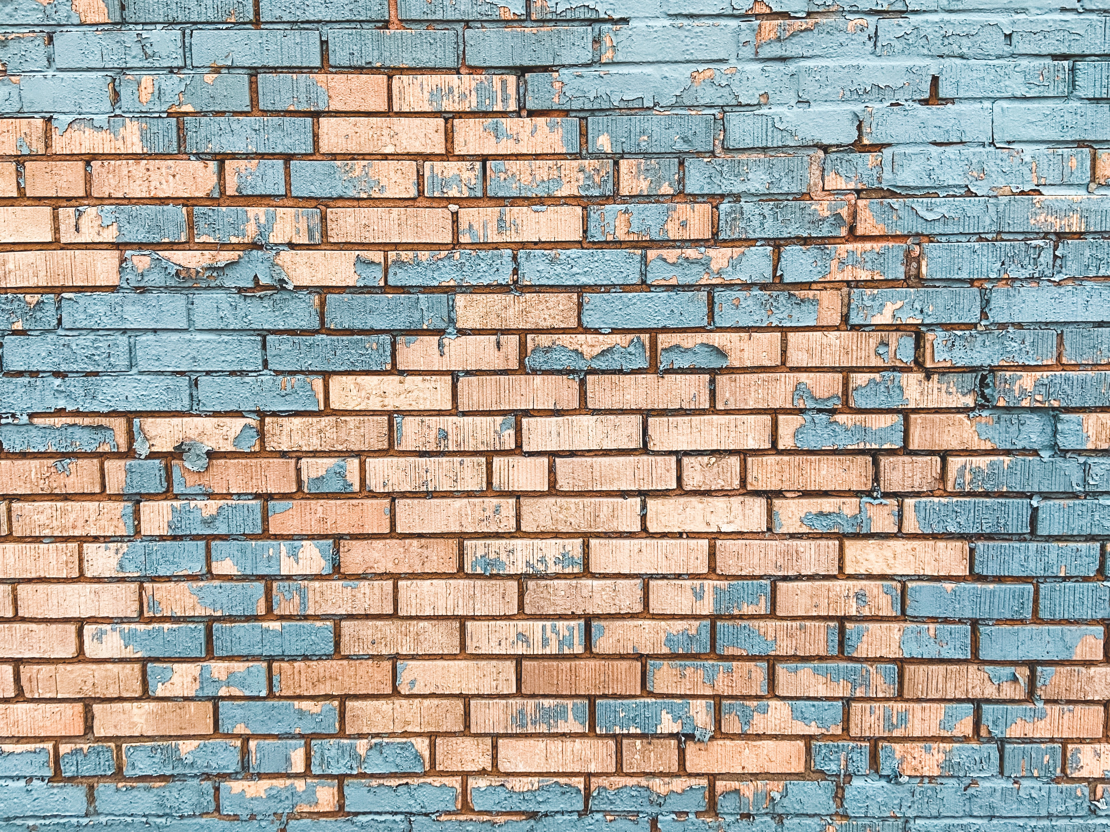 texture, brick wall, textures, paint, bricks Free Stock Photo