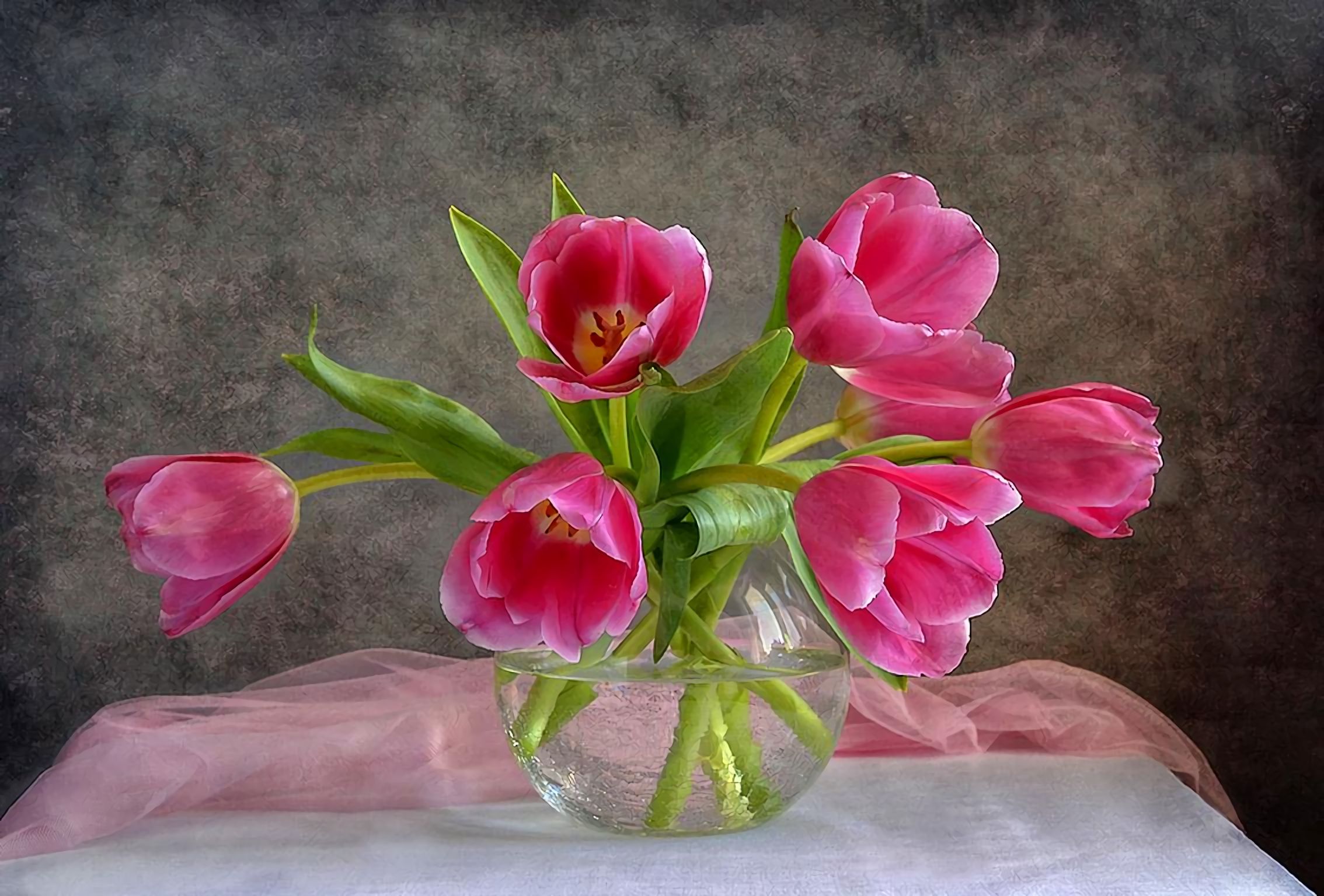 Натюрморт с розовыми тюльпанами