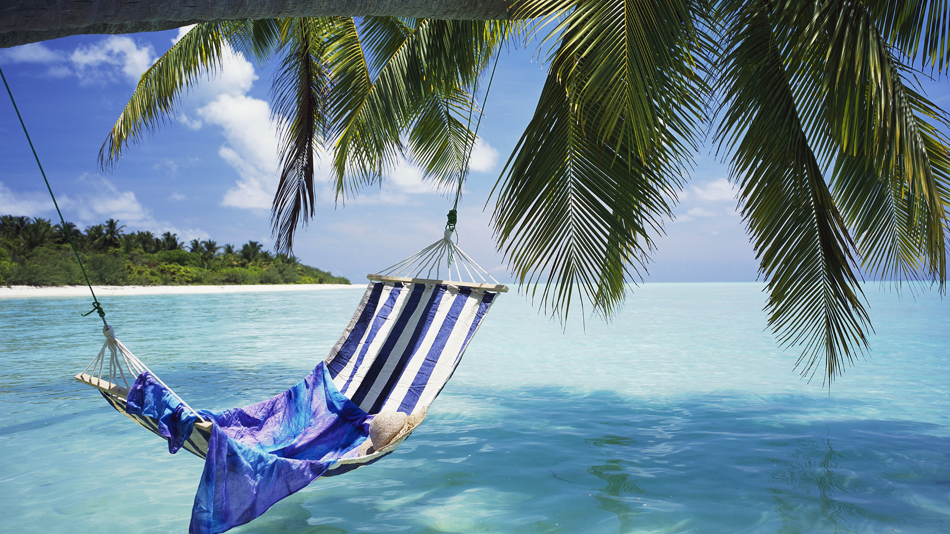 horizon, hammock, tropical, photography, holiday, beach, ocean, palm tree