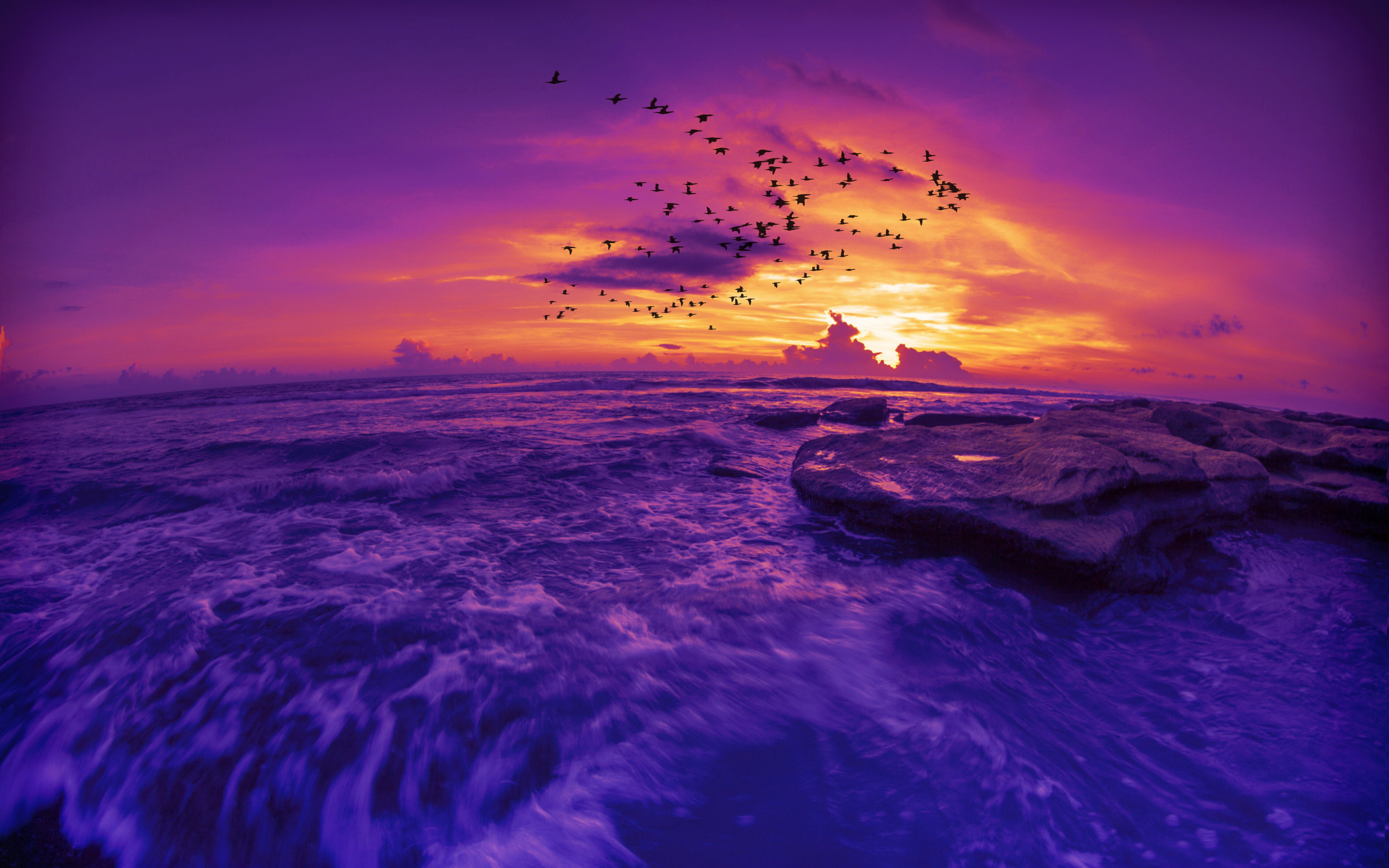 Download mobile wallpaper Sunset, Sky, Sea, Horizon, Silhouette, Bird, Ocean, Earth, Purple for free.