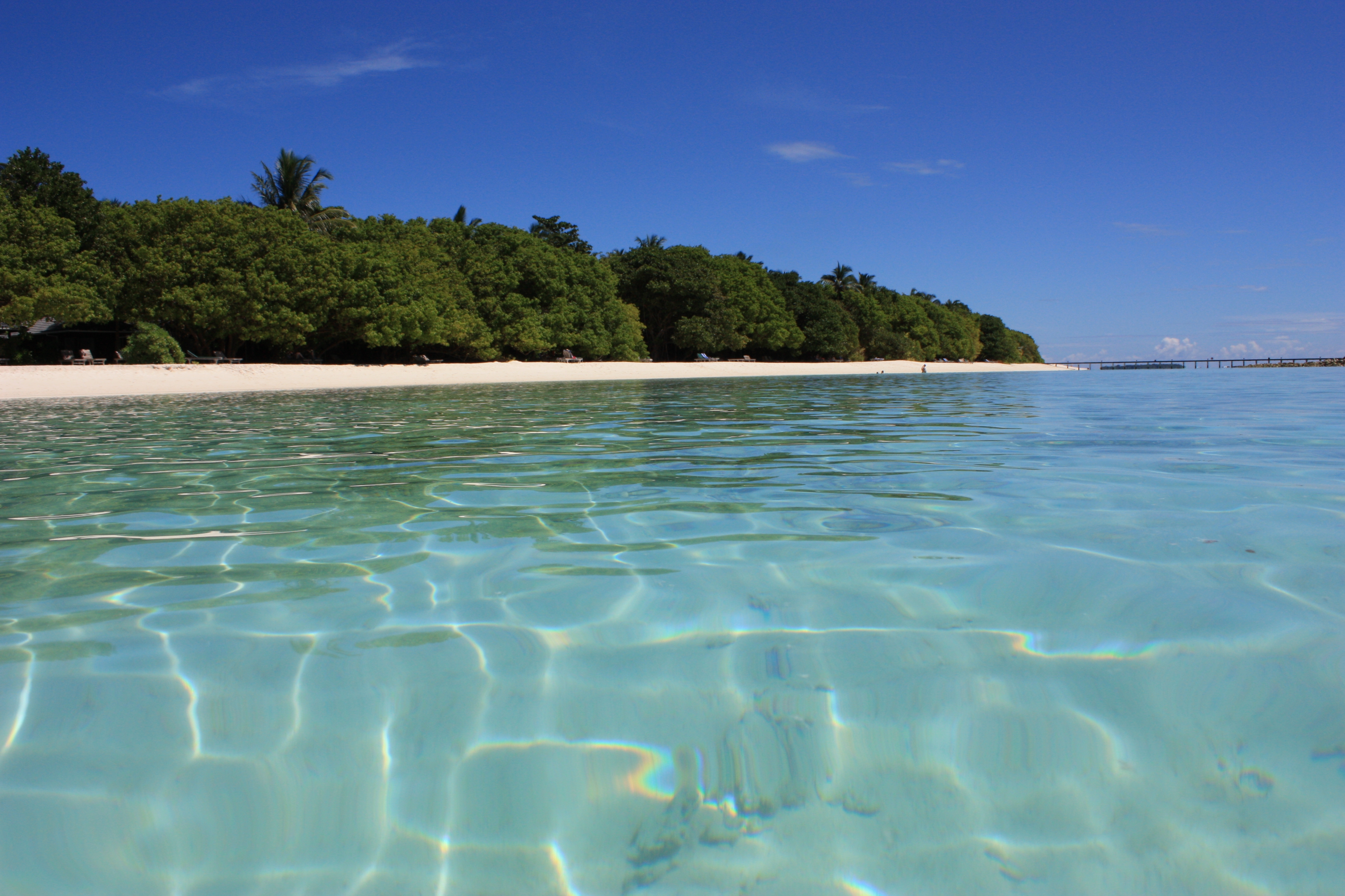 Laden Sie das Sommer, Bank, Natur, Malediven, Ufer, Sea-Bild kostenlos auf Ihren PC-Desktop herunter