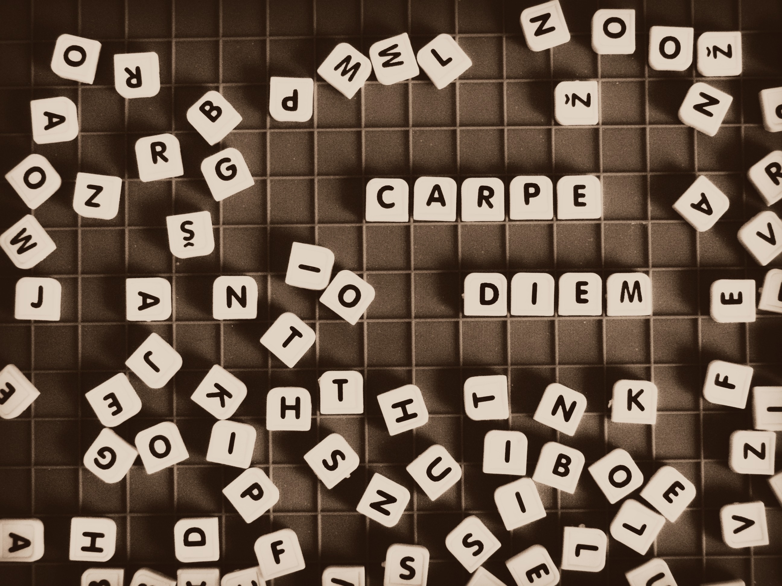 Free Phone Wallpaper  Carpe Diem - Seize The Day - Skipping Flamingo