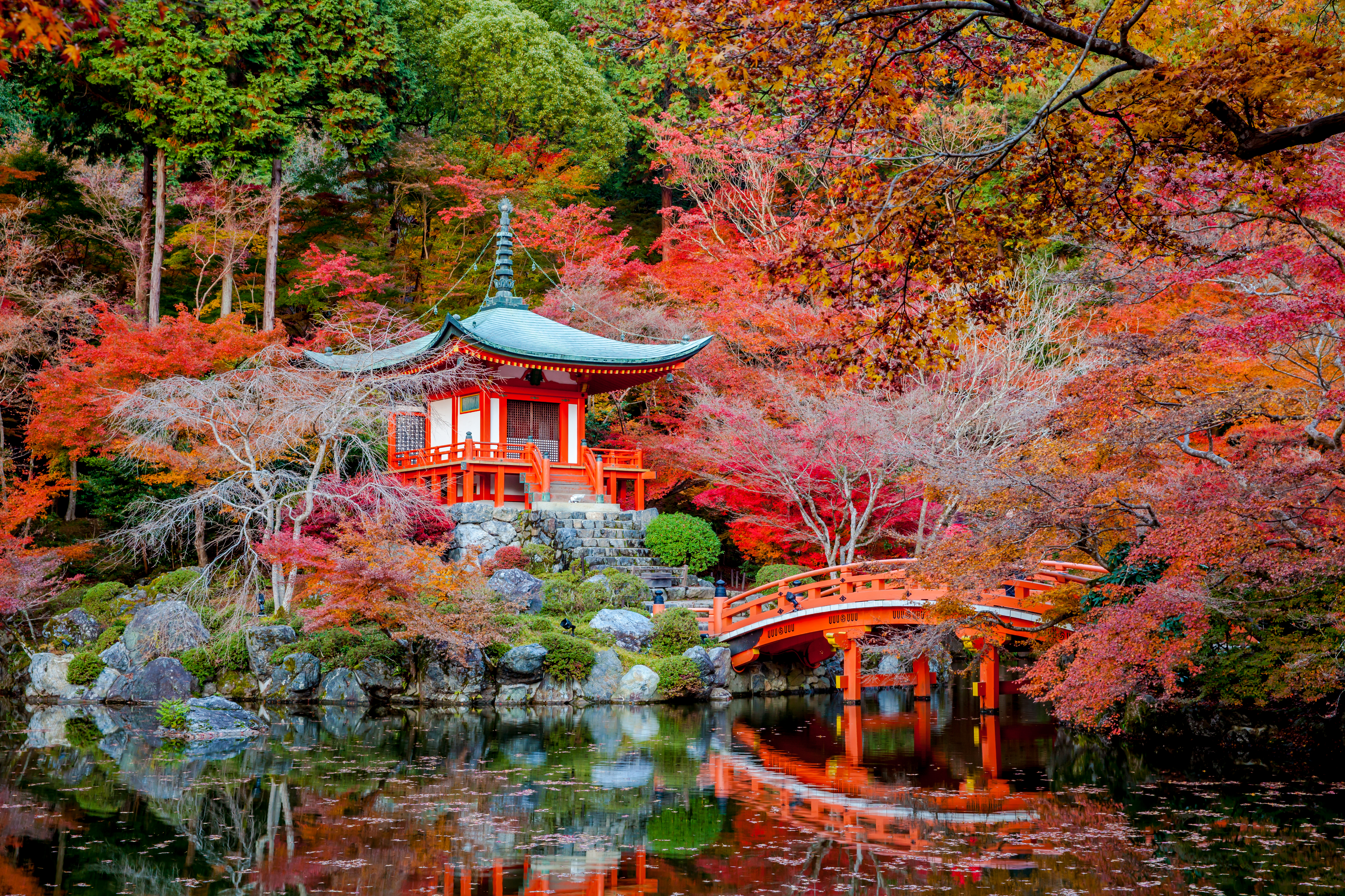 1527808 скачать обои дайго дзи, осень, религиозные, мост, японский сад, отражение, храм, дерево, храмы - заставки и картинки бесплатно