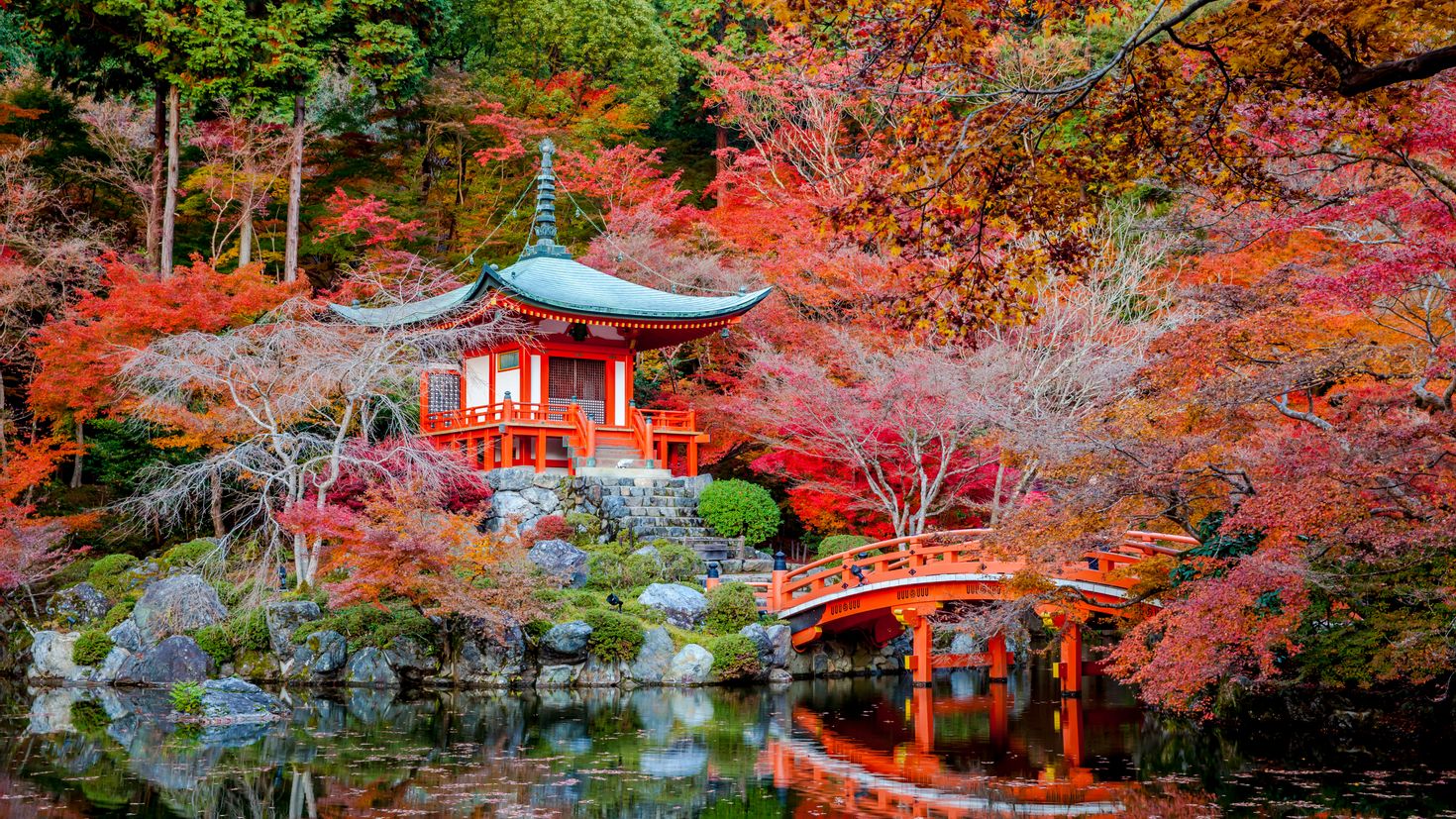 японские сады парки