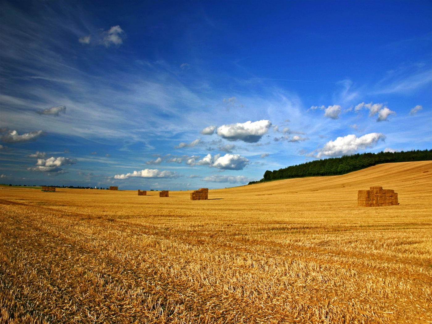 Download mobile wallpaper Landscape, Sky, Fields for free.