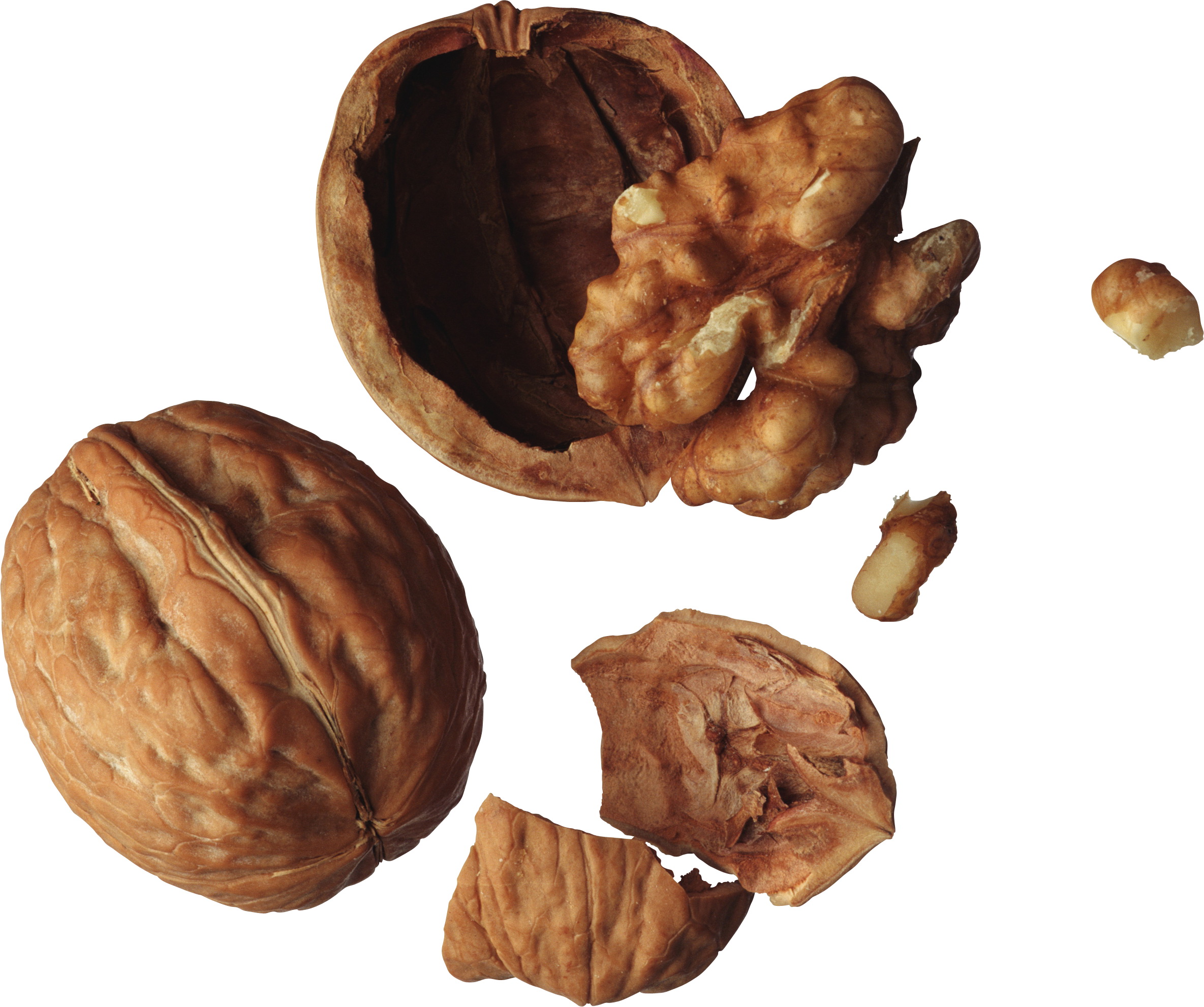 food, walnut