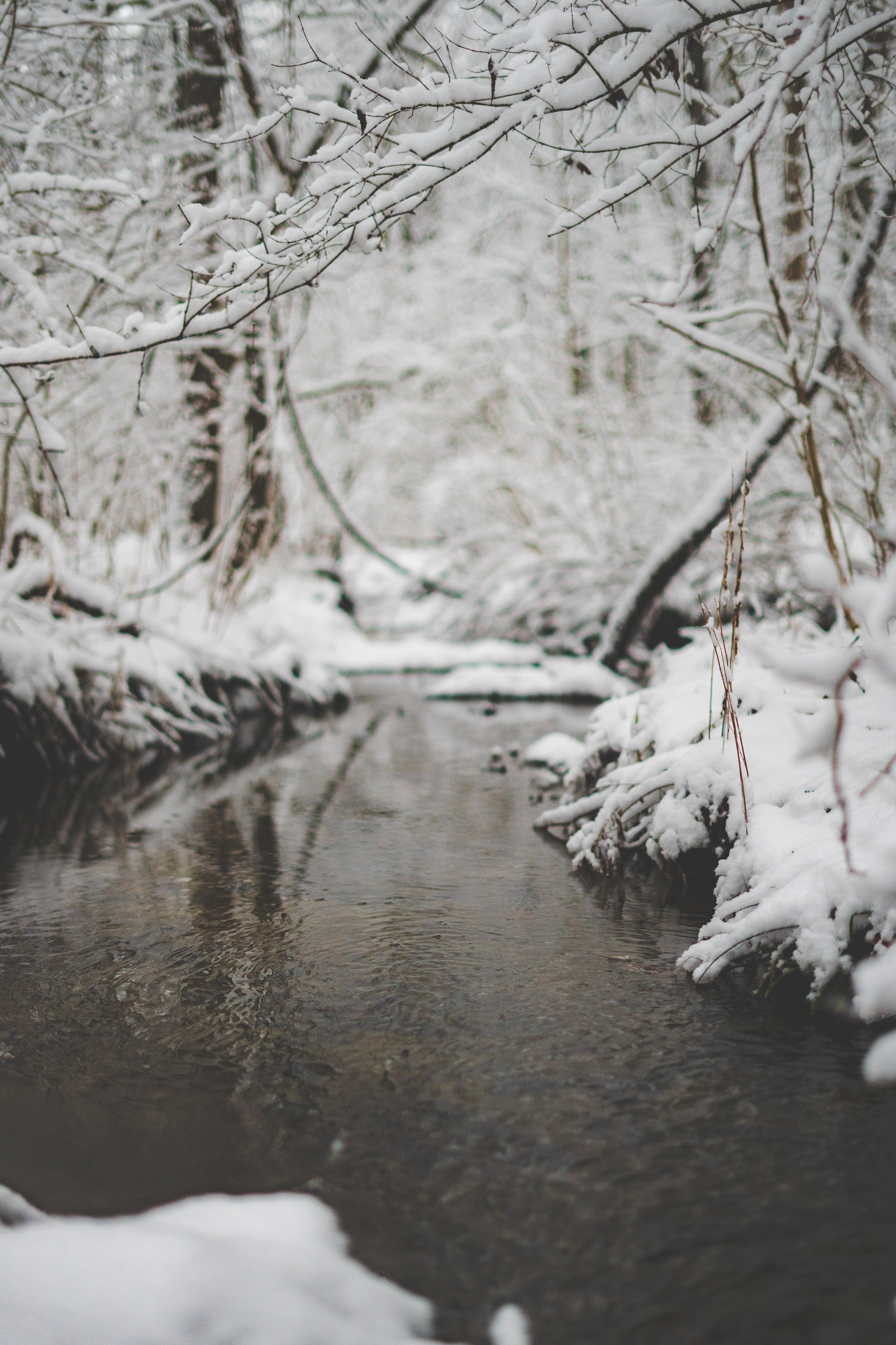 rivers, nature, snow, branch, creek, brook wallpaper for mobile