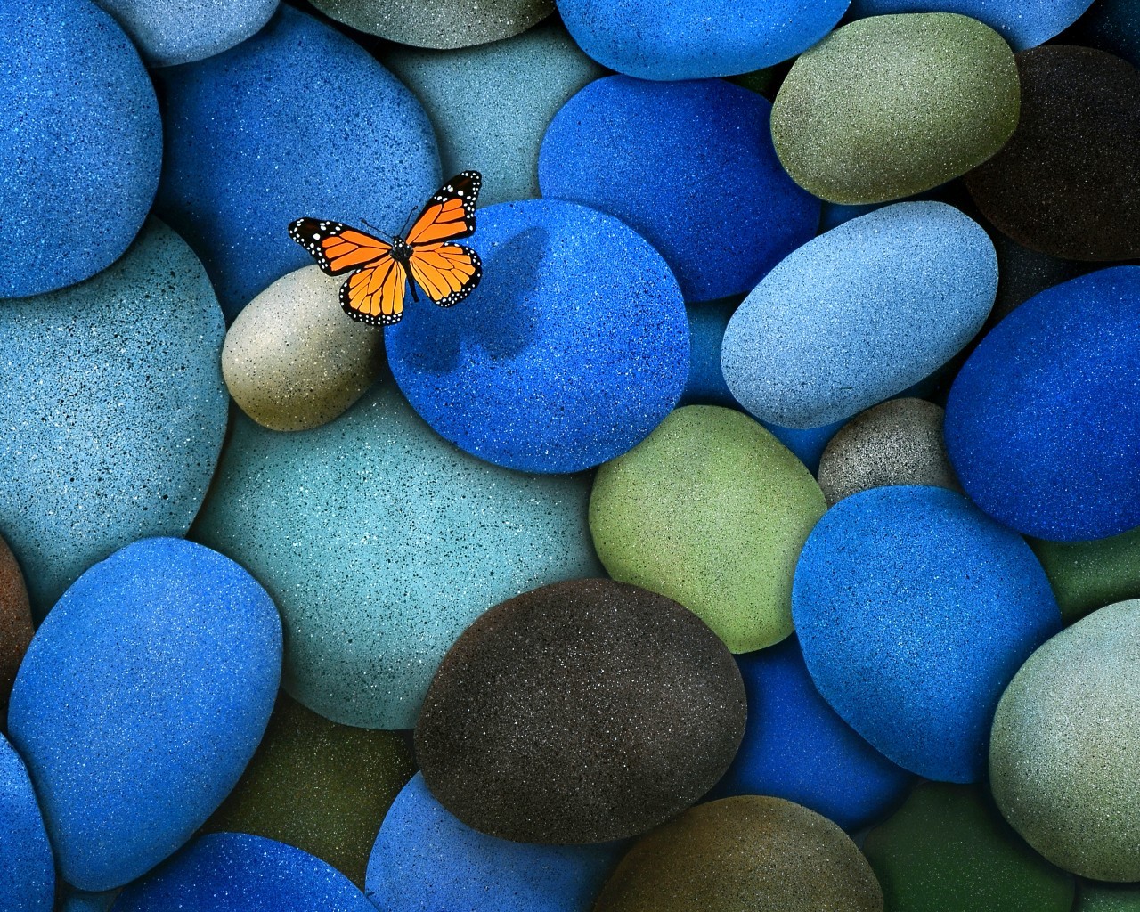 Free HD insects, butterflies, background, stones