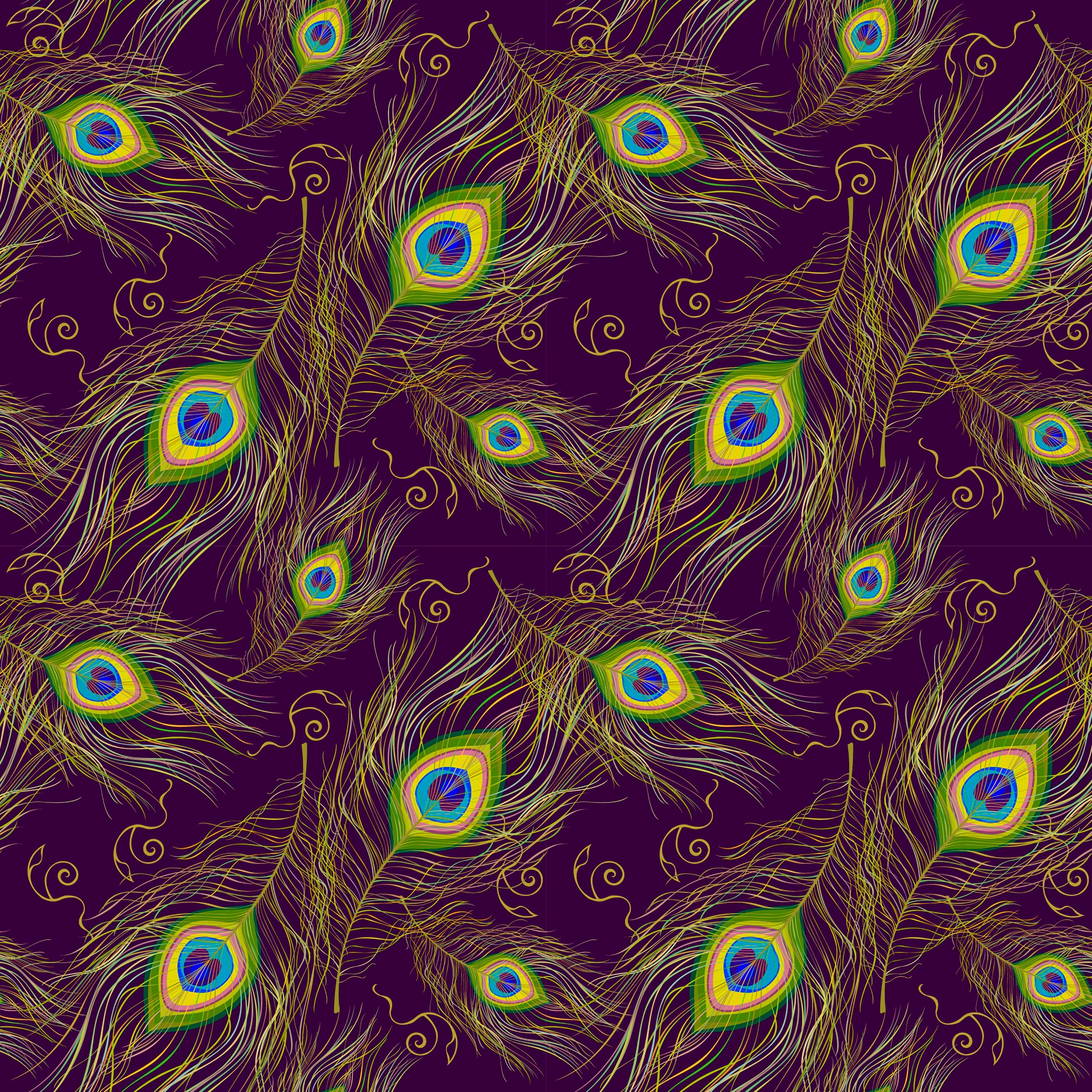 peacock, patterns, feather, multicolored, motley, texture, textures cell phone wallpapers