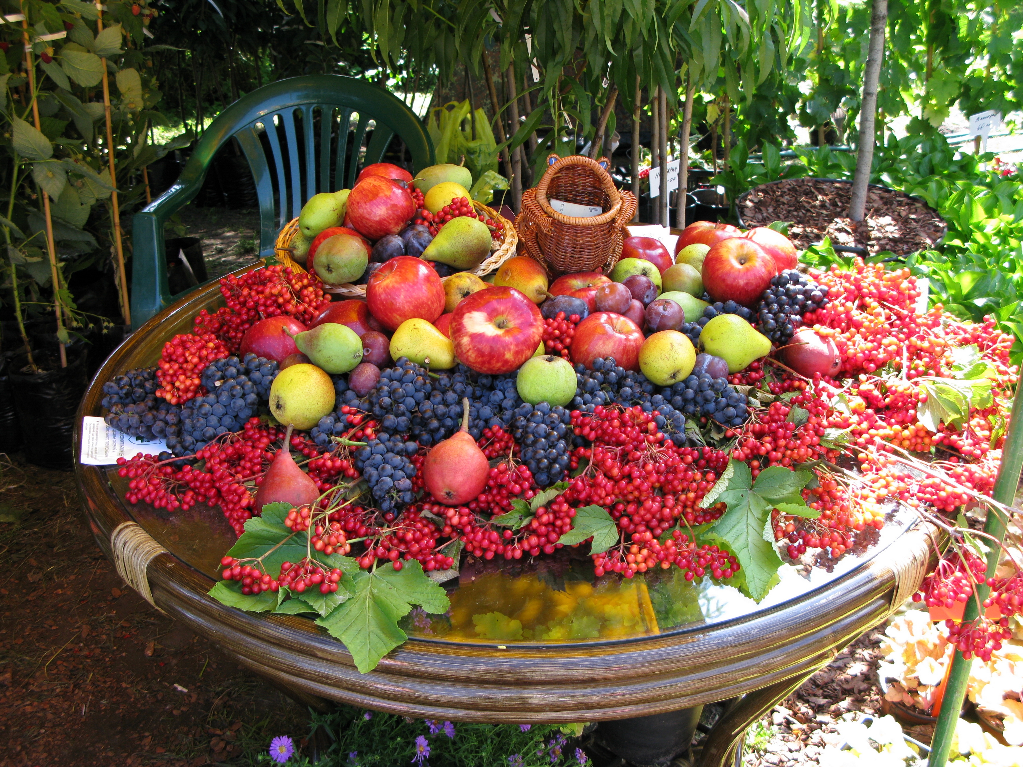 fruits, berries, food, table, lot HD wallpaper