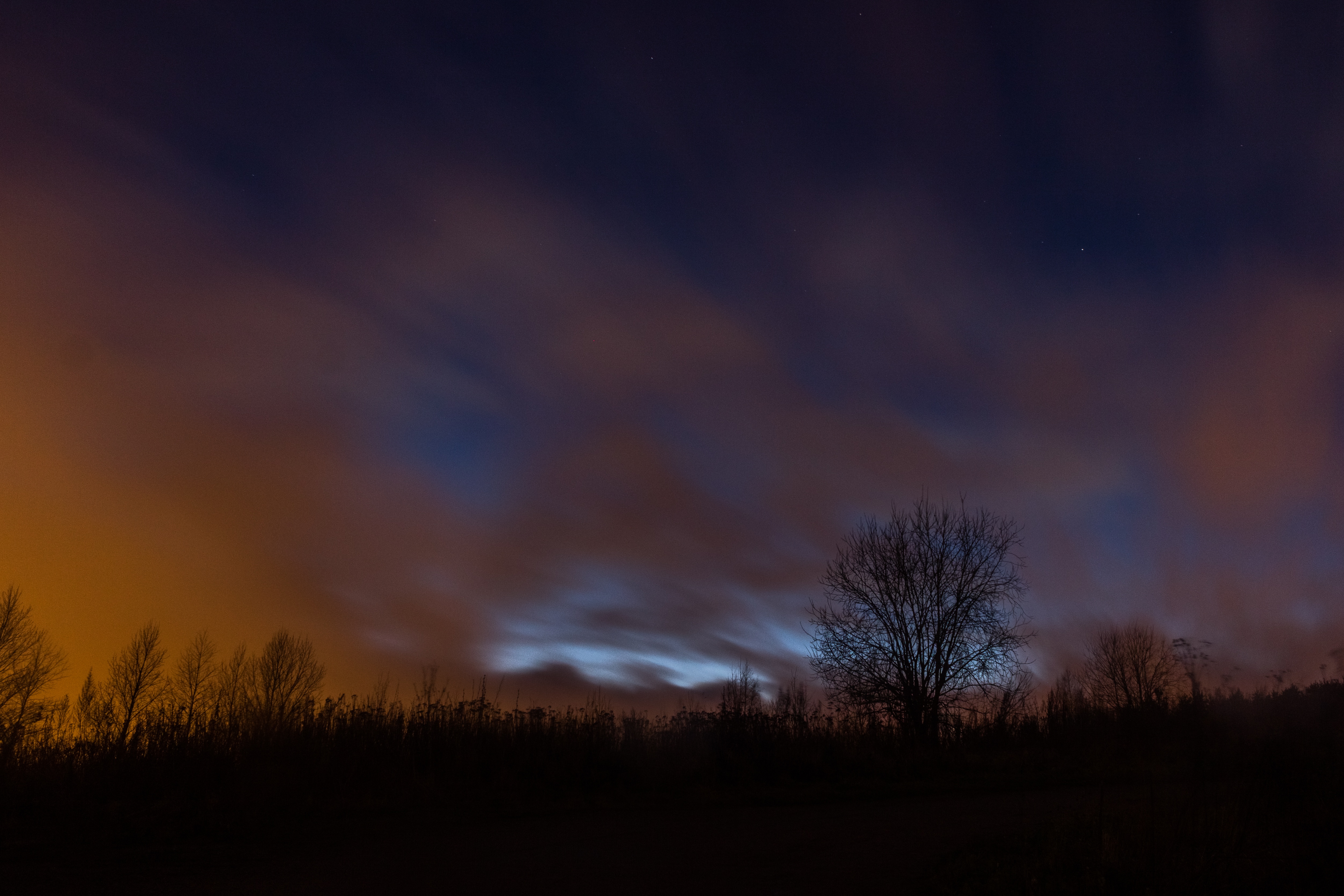 Free download wallpaper Nature, Clouds, Wood, Tree, Fog, Starry Sky, Night on your PC desktop