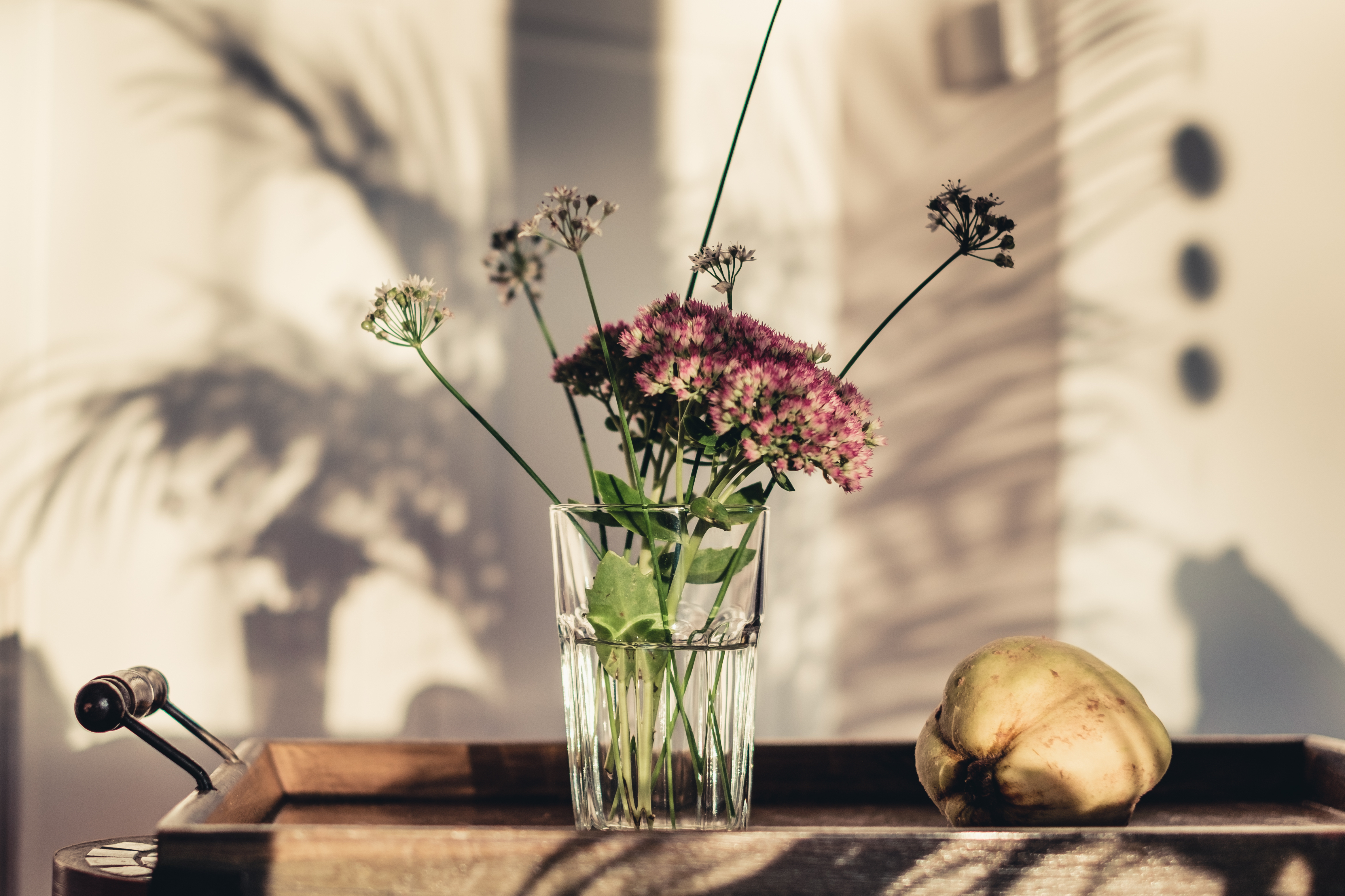 vase, flowers, glass Full HD