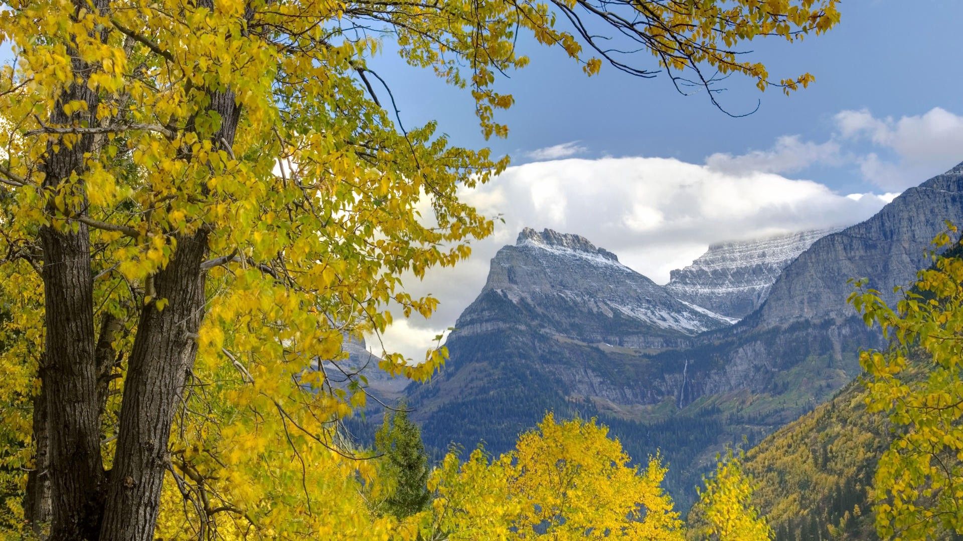 75080 скачать картинку горы, осень, ветви, природа, деревья, листья, даль - обои и заставки бесплатно