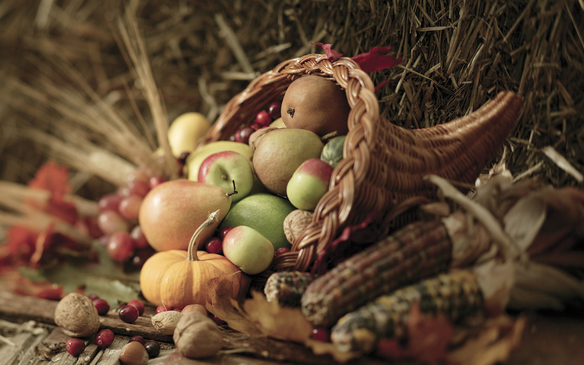 apple, food, still life, basket, corn, fall, leaf, nut, pear, thanksgiving, vegetable