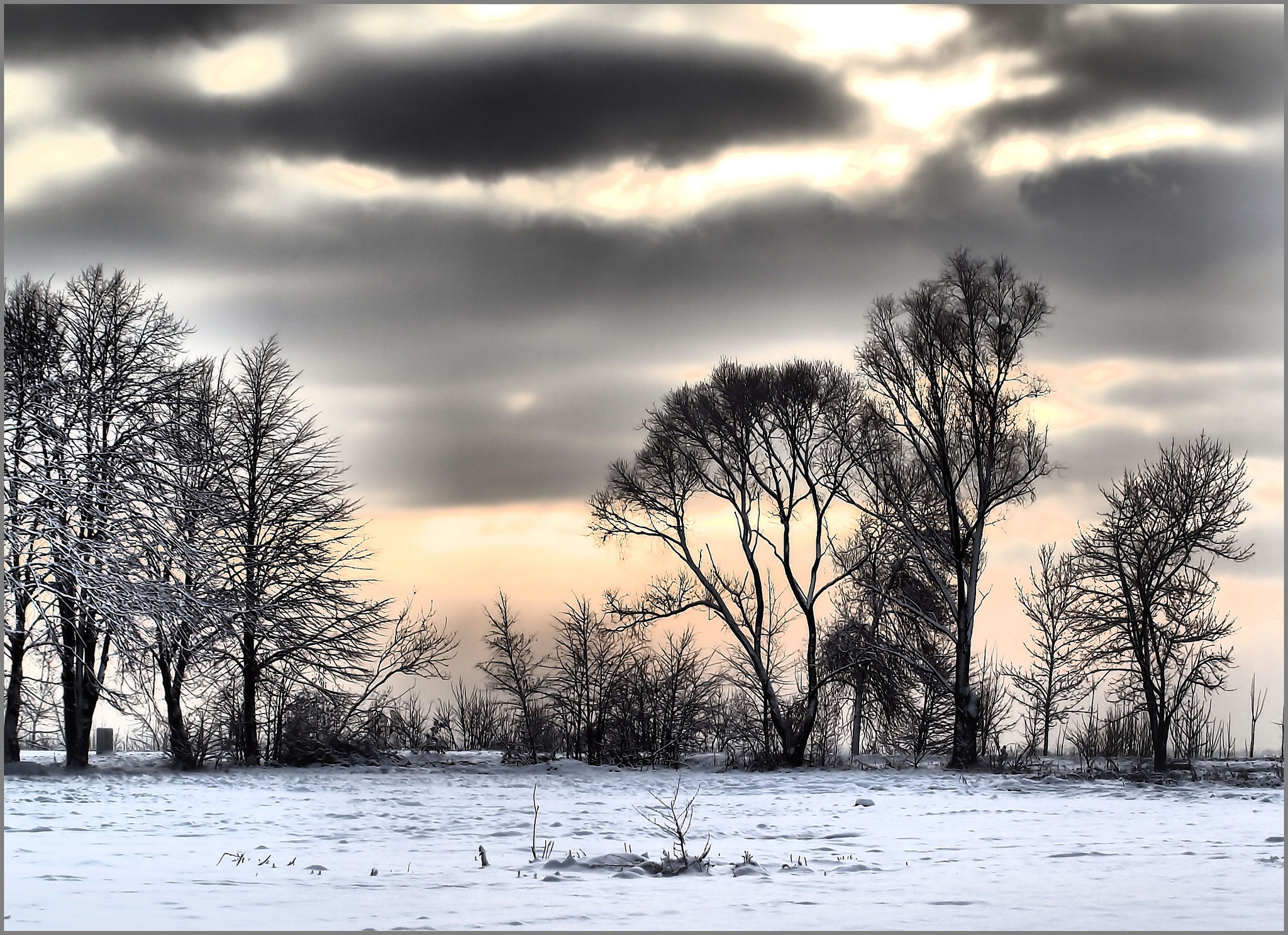 Laden Sie das Natur, Bäume, Wolken, Schnee, Winter-Bild kostenlos auf Ihren PC-Desktop herunter