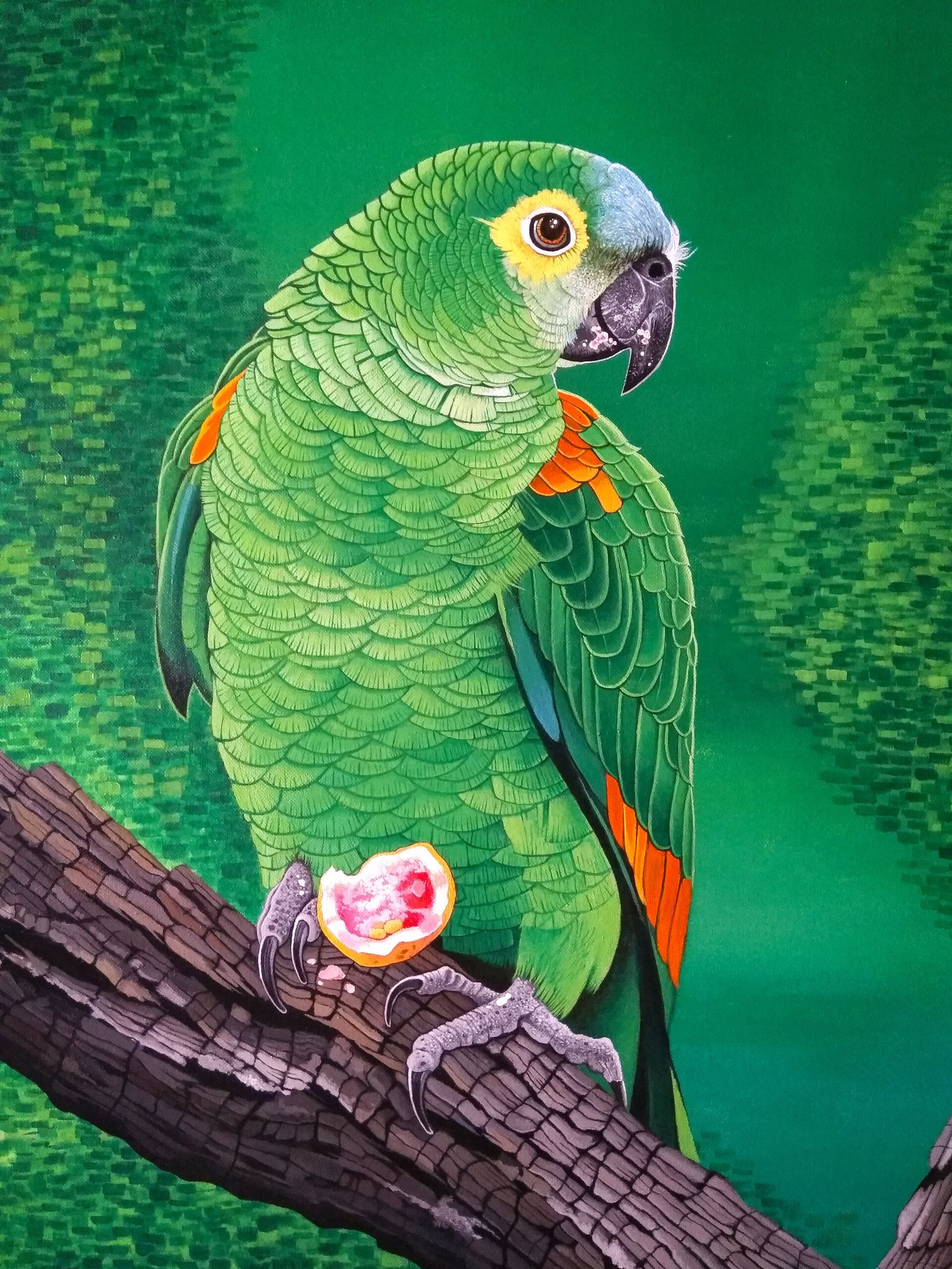 bright, art, parrots, bird, branch, macaw
