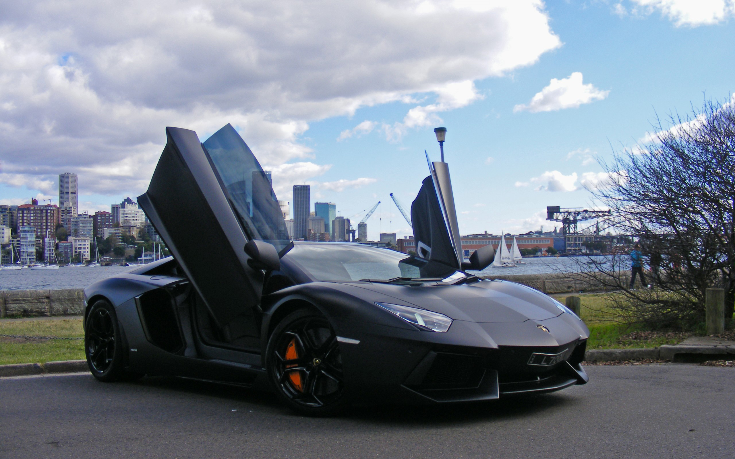 Lamborghini Aventador Doors