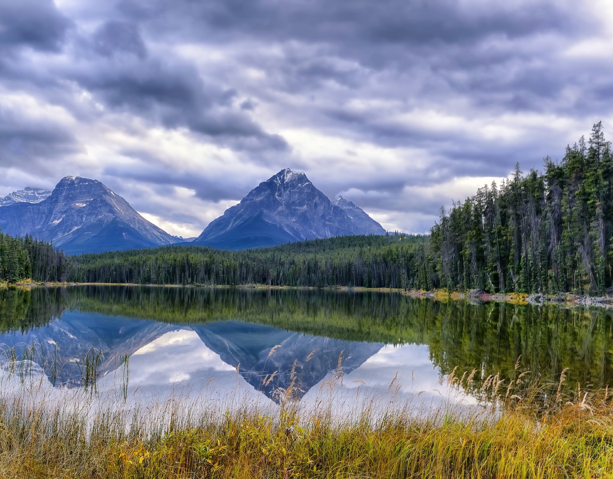 658351 Bild herunterladen erde/natur, spiegelung, alberta, kanada, wolke, jasper nationalpark, see, blutegel see, berg fryatt, gebirge, whirlpool spitze - Hintergrundbilder und Bildschirmschoner kostenlos