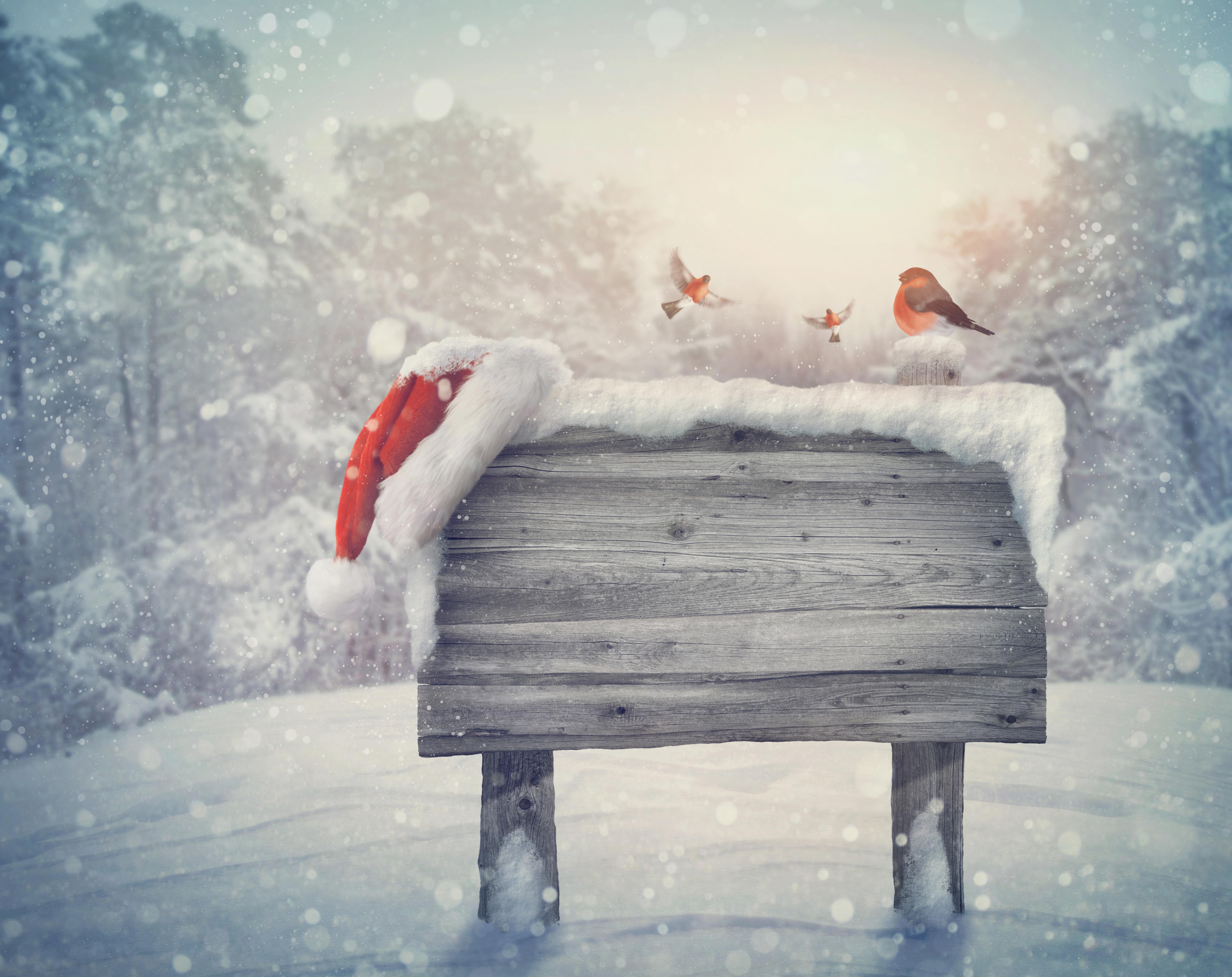 875637 скачать обои снегирь, праздничные, рождество, шляпа санты, снег - заставки и картинки бесплатно