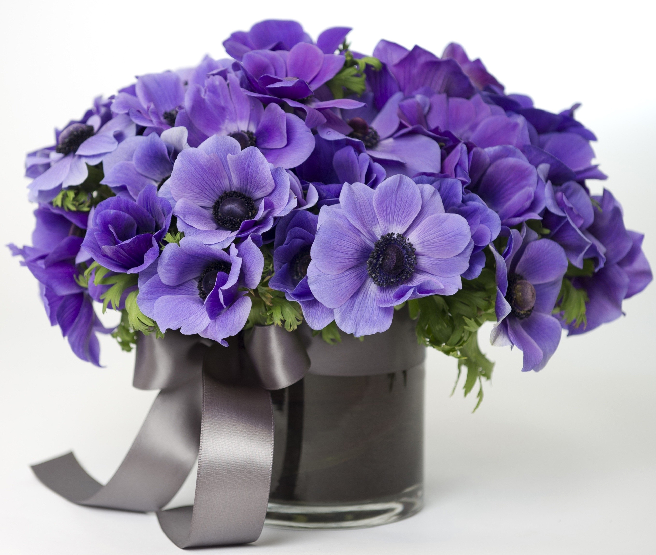 bouquet, flower, man made, anemone, purple flower, ribbon, vase, violet