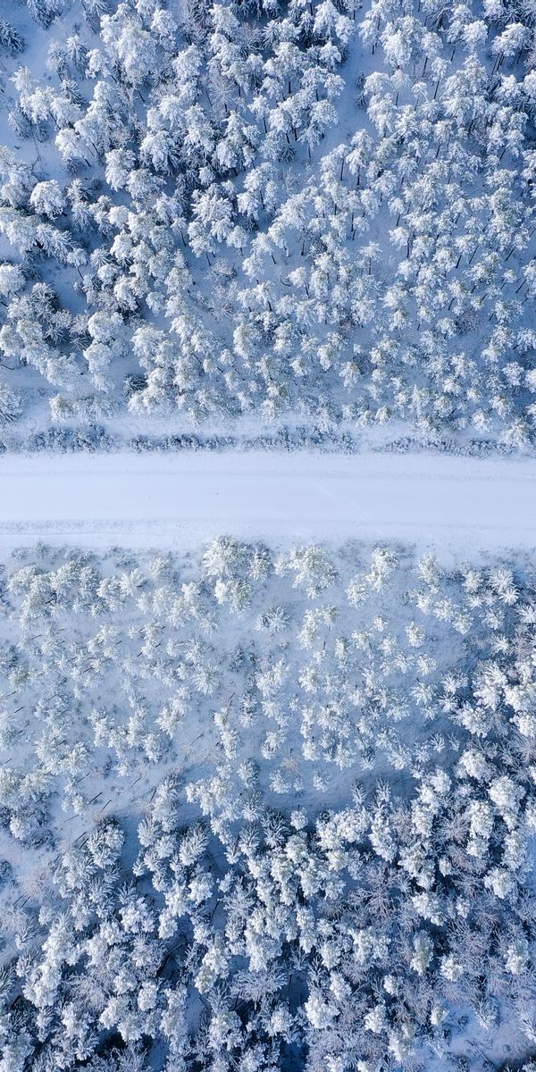 Фото снега сверху. Снег сверху. Снег вид сверху. Снег на земле. Снежный вид.