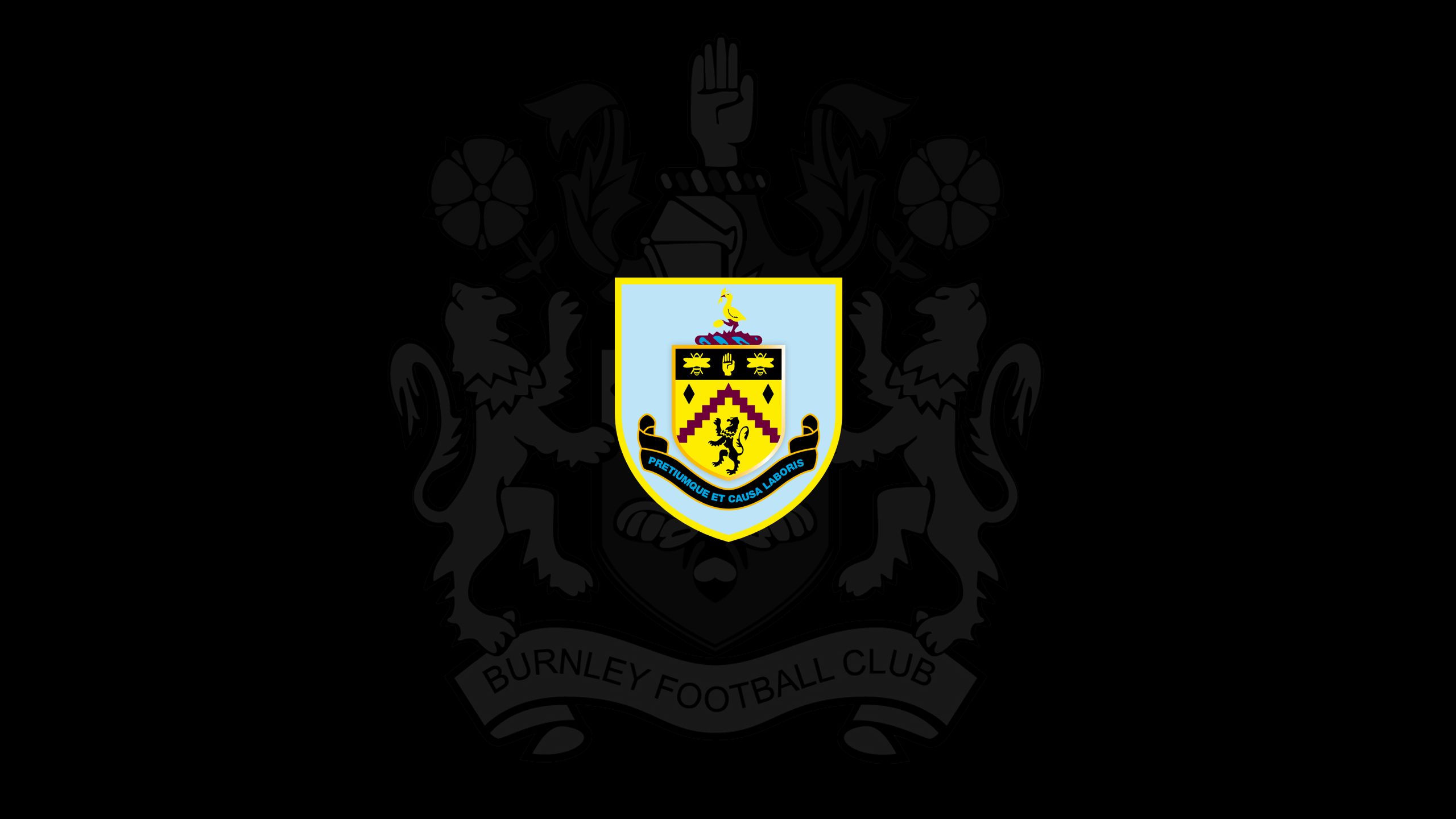 100+] Burnley Fc Wallpapers | Wallpapers.com