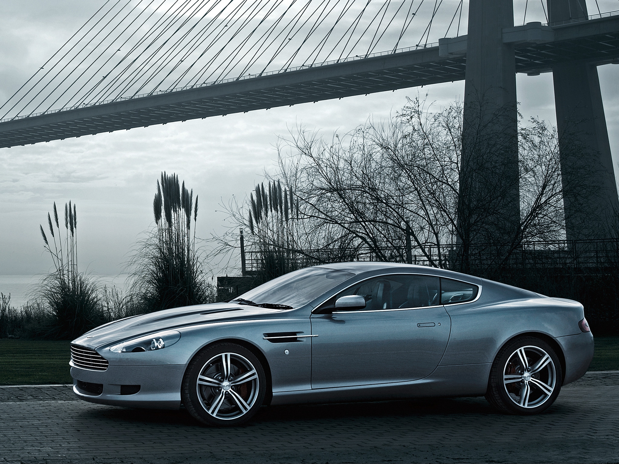 auto, nature, aston martin, cars, wood, tree, grey, side view, style, 2008, db9