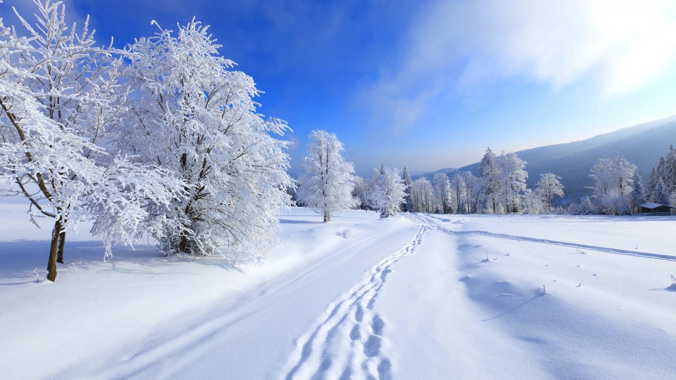 1479816 Bildschirmschoner und Hintergrundbilder Winter auf Ihrem Telefon. Laden Sie  Bilder kostenlos herunter