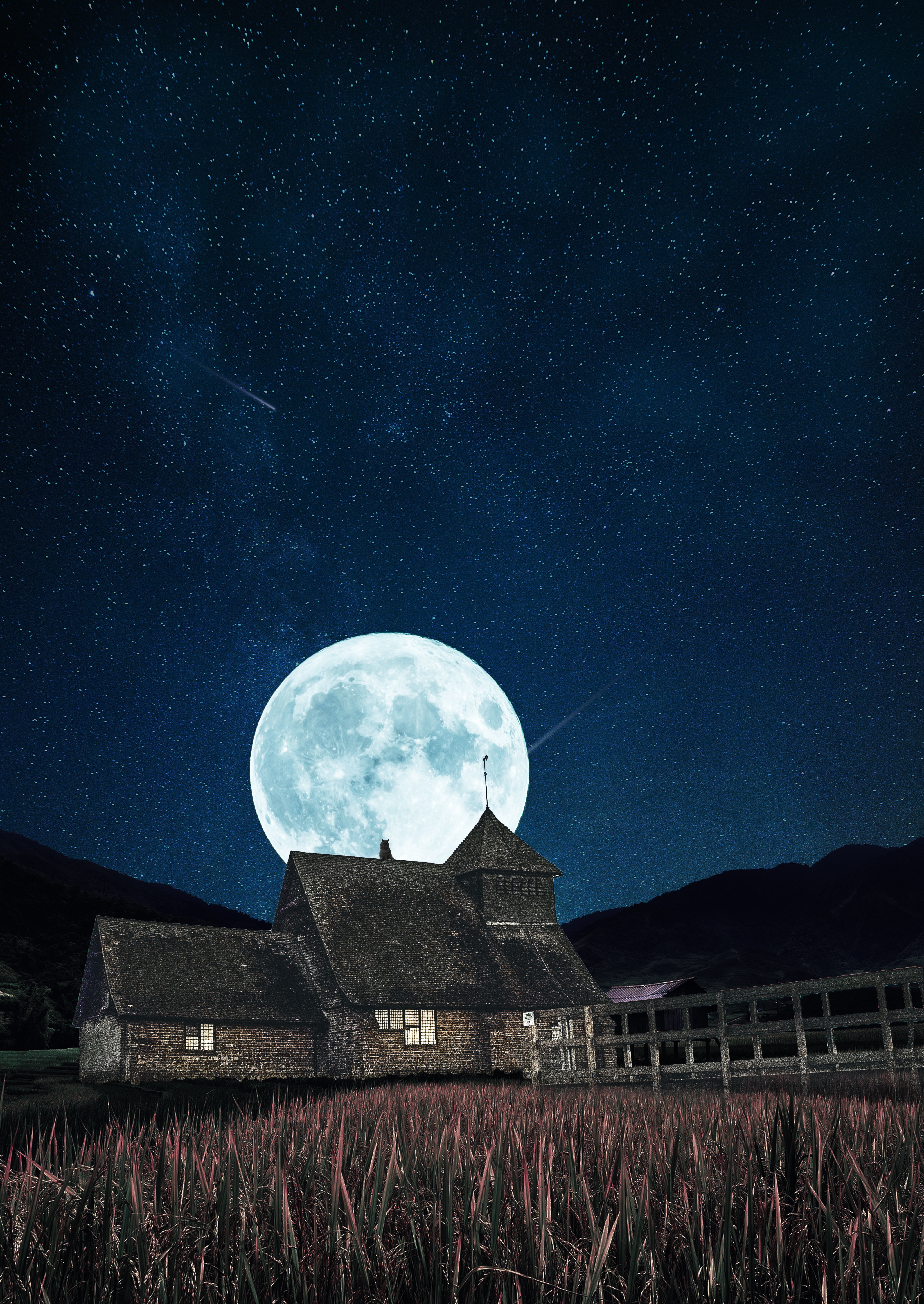 Mobile wallpaper moon, full moon, building, starry sky, night, miscellanea, miscellaneous