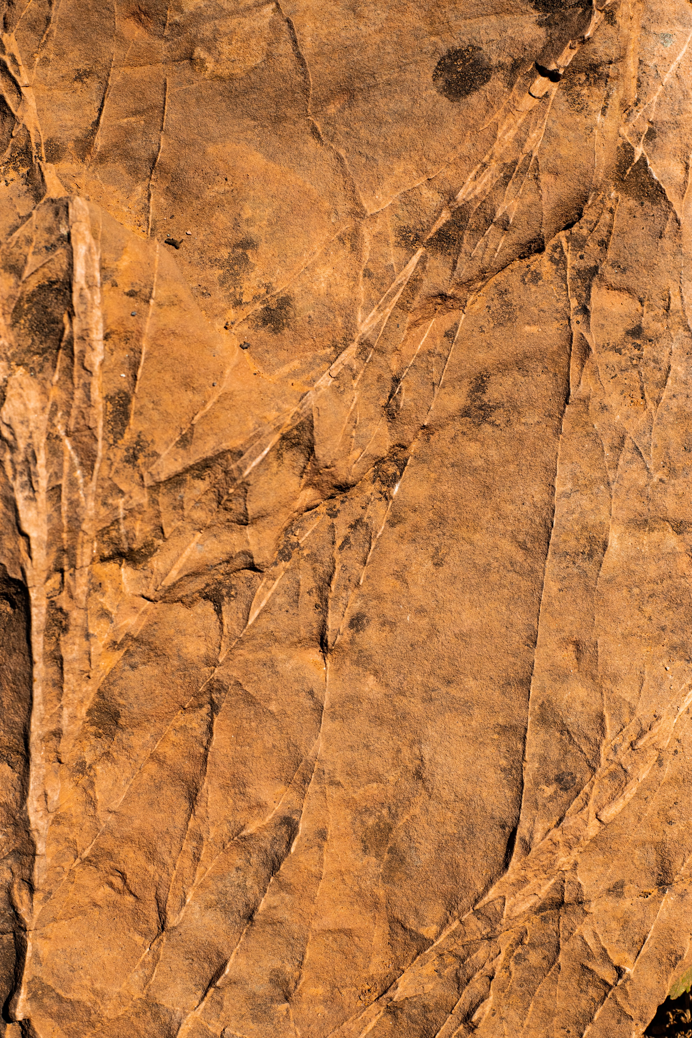 Download mobile wallpaper Rock, Relief, Stone, Texture, Textures for free.