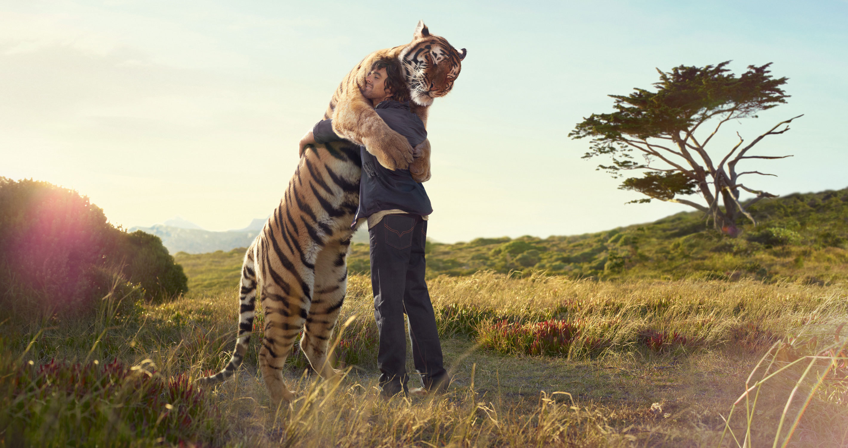 Тигр обнимается с человеком