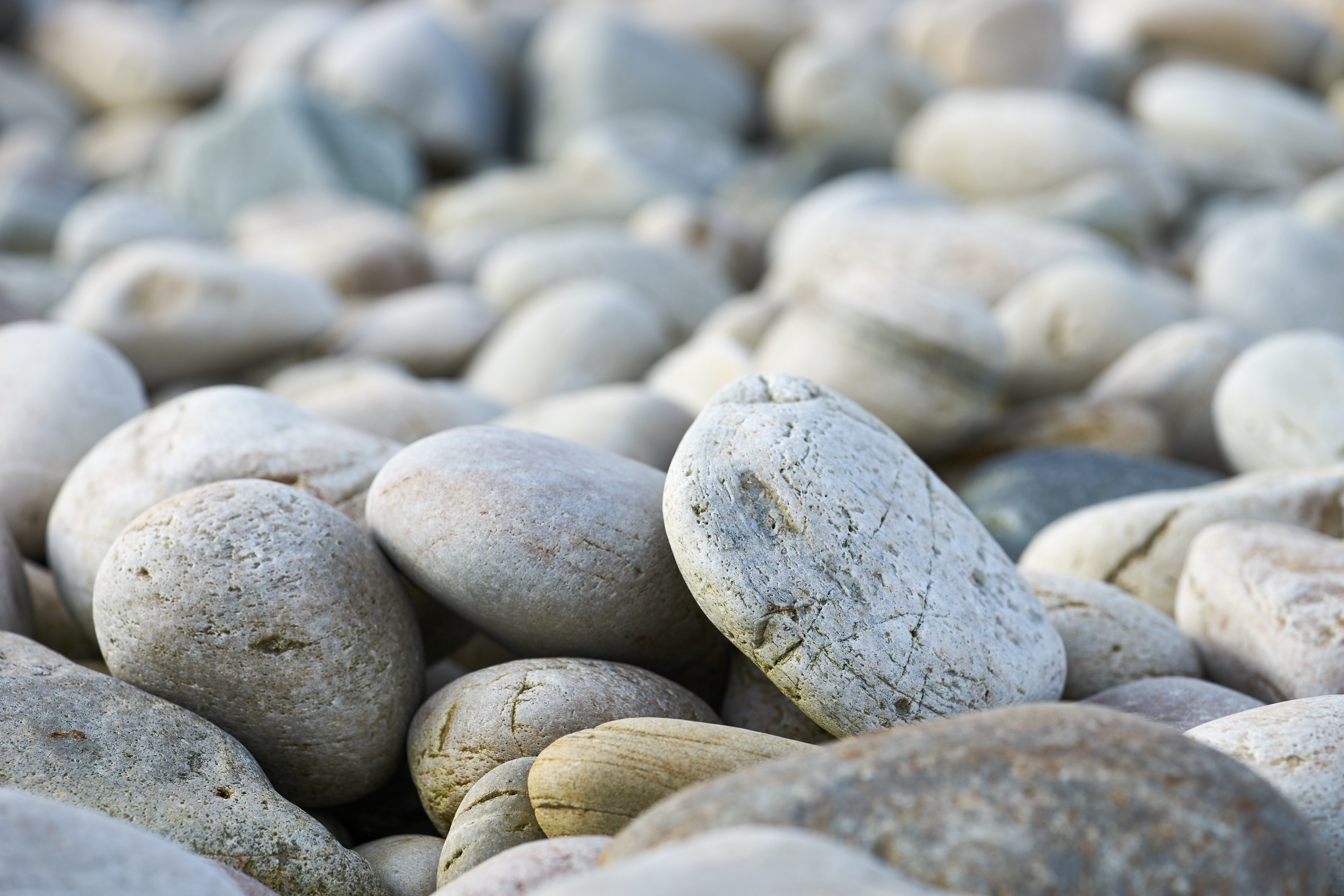 nature, stones, pebble, beach for Windows