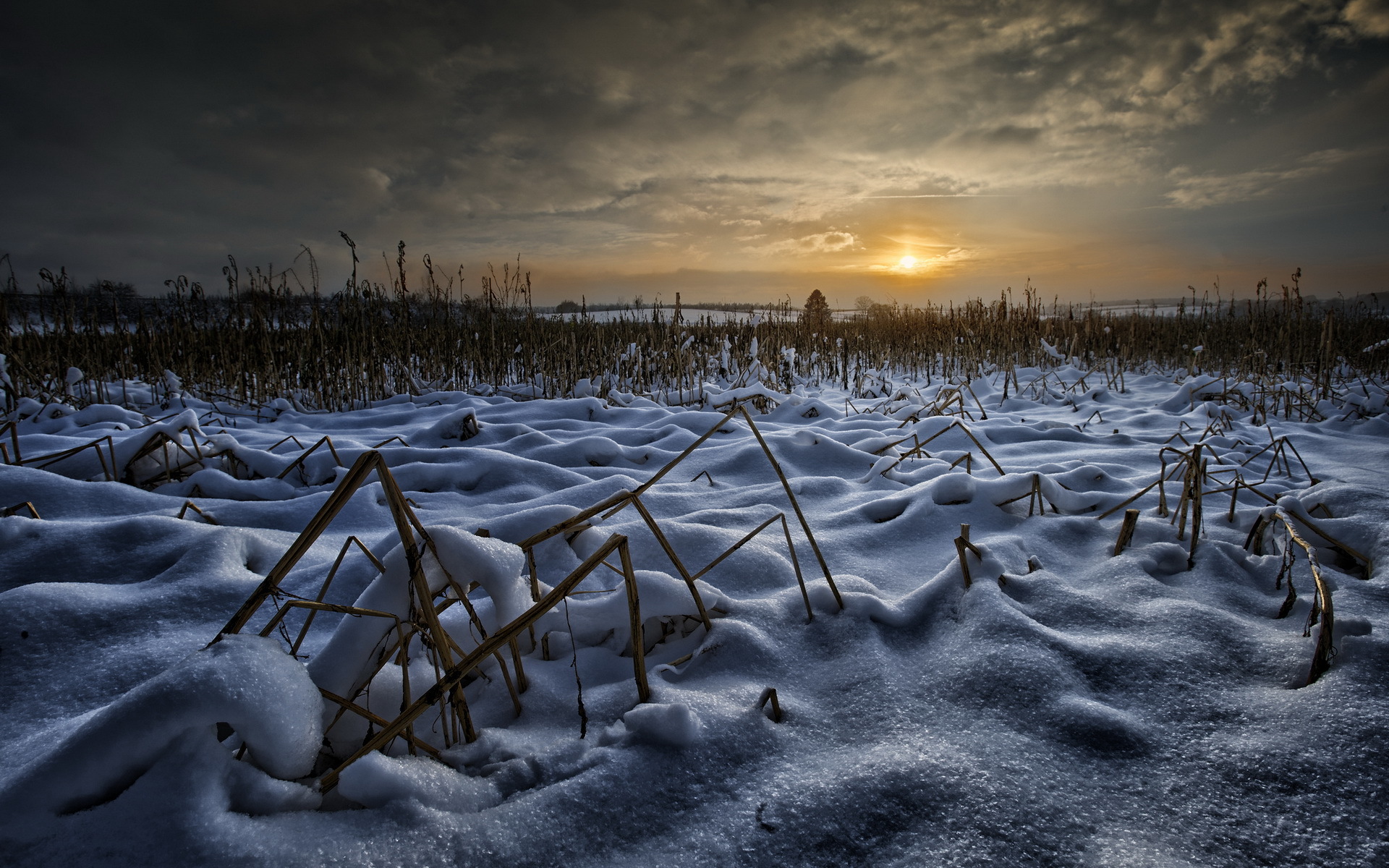 Поле с сугробами. Зимнее поле. Заснеженное поле ночью. Снежное поле. Снег поле.