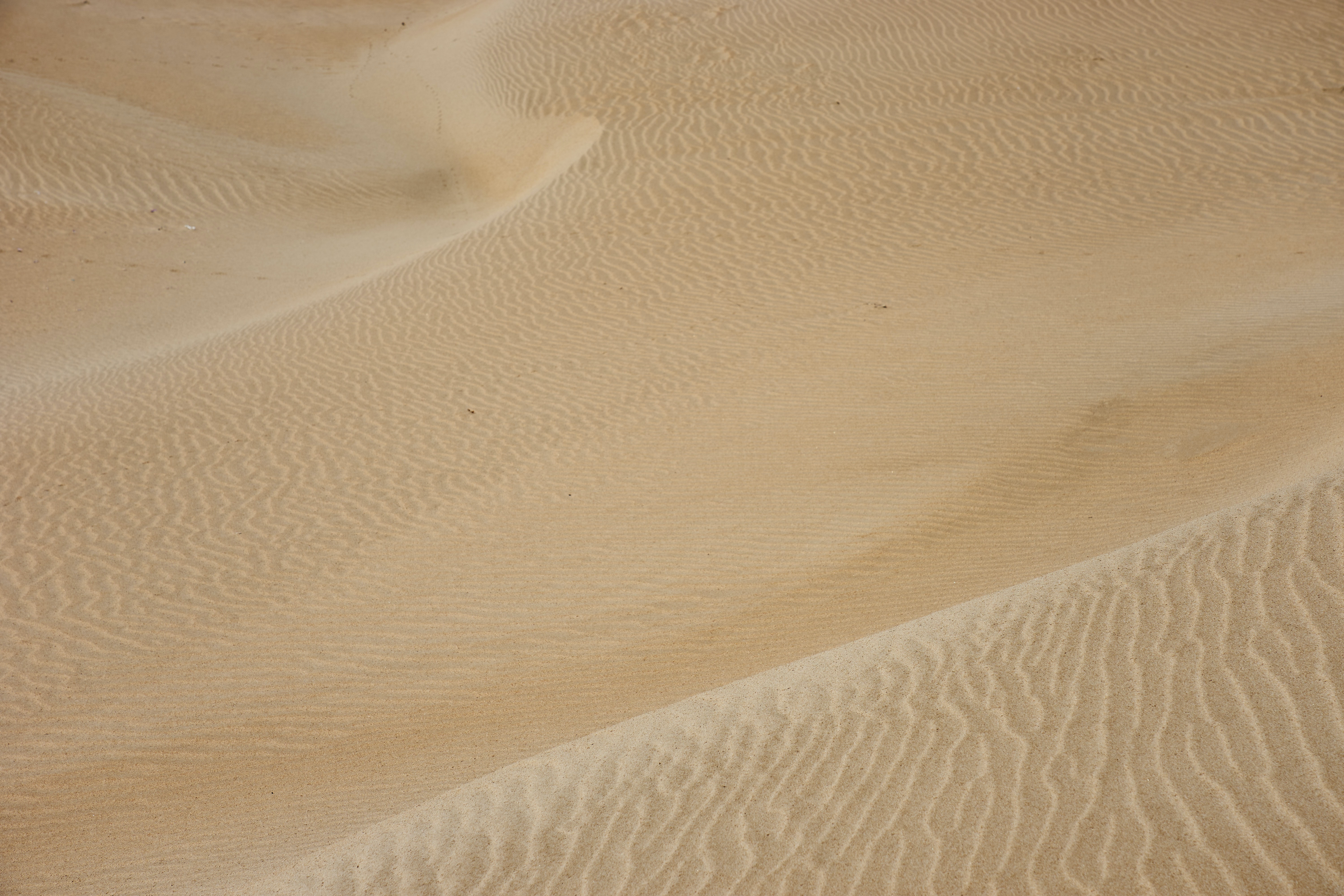 waves, sand, desert, texture, textures, wavy Panoramic Wallpaper