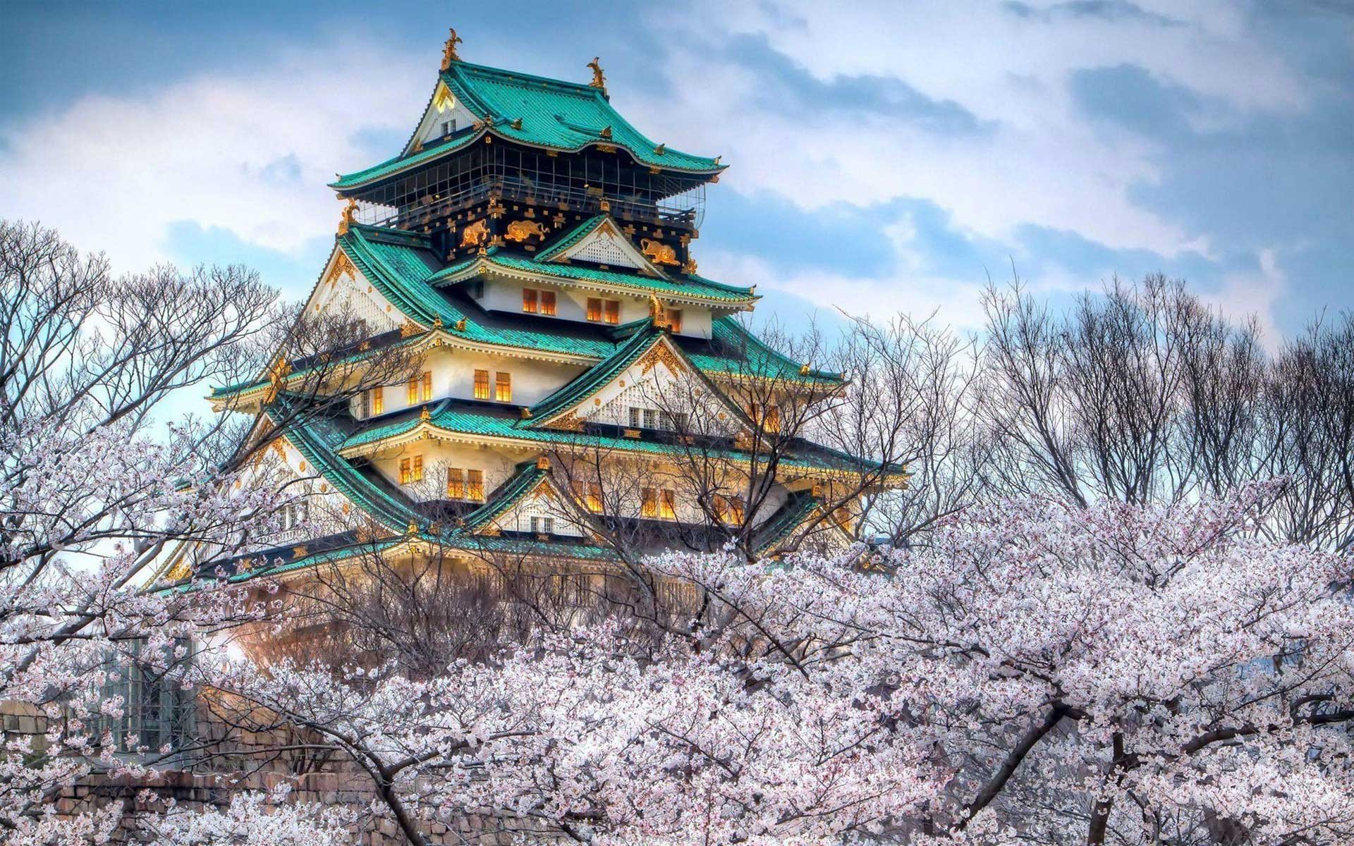 377753壁紙のダウンロード大阪城, マンメイド, 建築, 城, 桜の花, 日本-スクリーンセーバーと写真を無料で