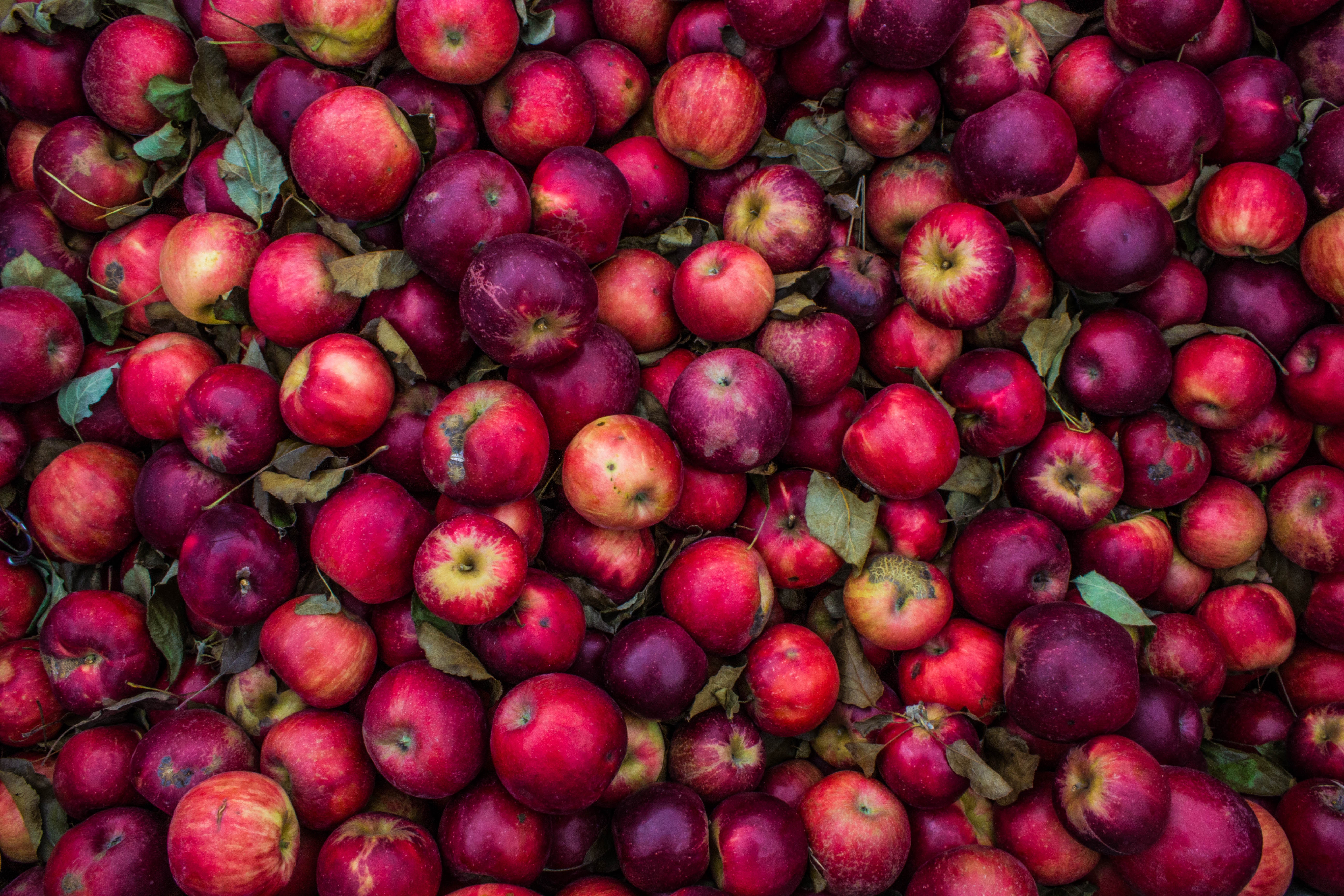 Download mobile wallpaper Pink, Ripe, Harvest, Food, Apples for free.