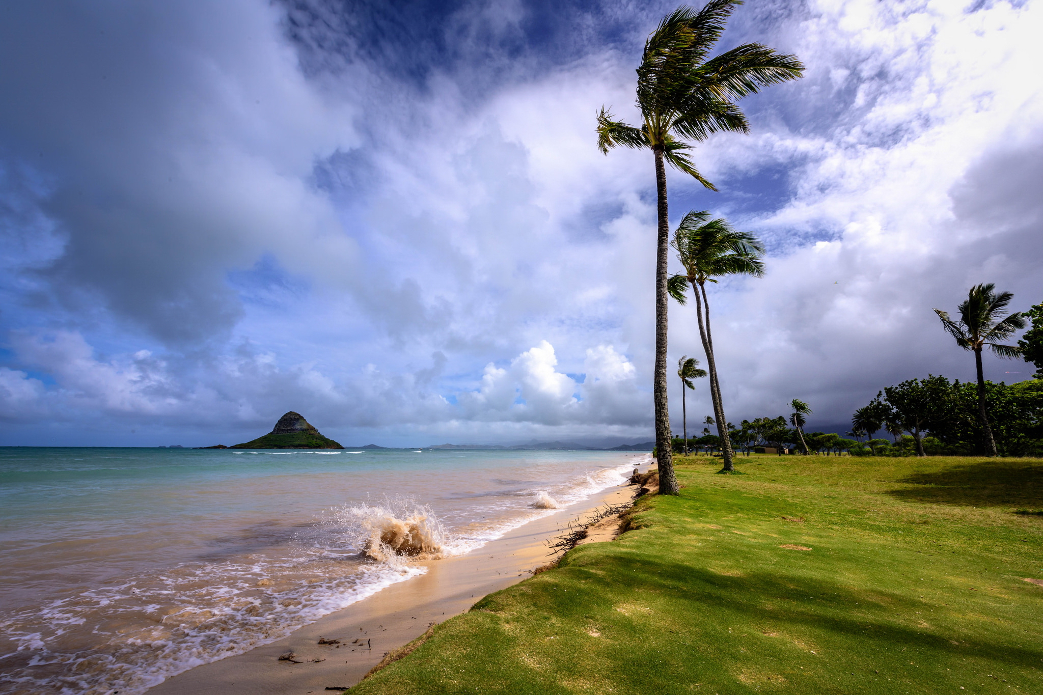 wind, earth, beach, cloud, ocean, palm tree, sea, sky, tropical iphone wallpaper