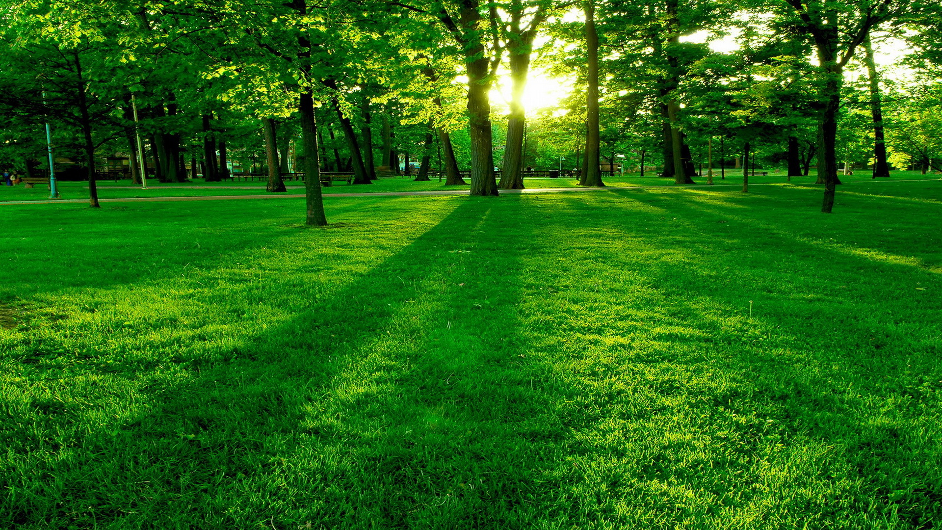 Download mobile wallpaper Grass, Landscape, Sun, Trees for free.