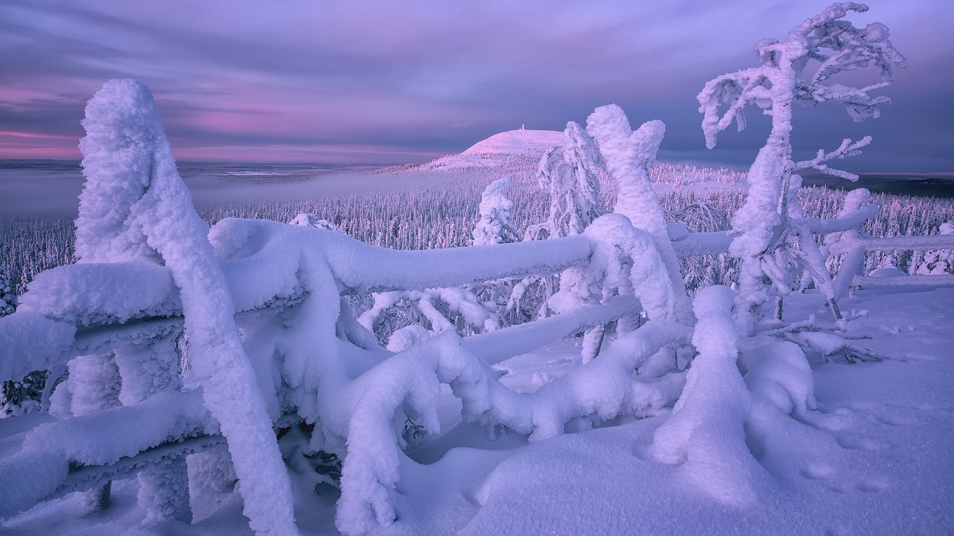 942460 Hintergrundbild herunterladen finnland, erde/natur, winter, zaun, schnee - Bildschirmschoner und Bilder kostenlos