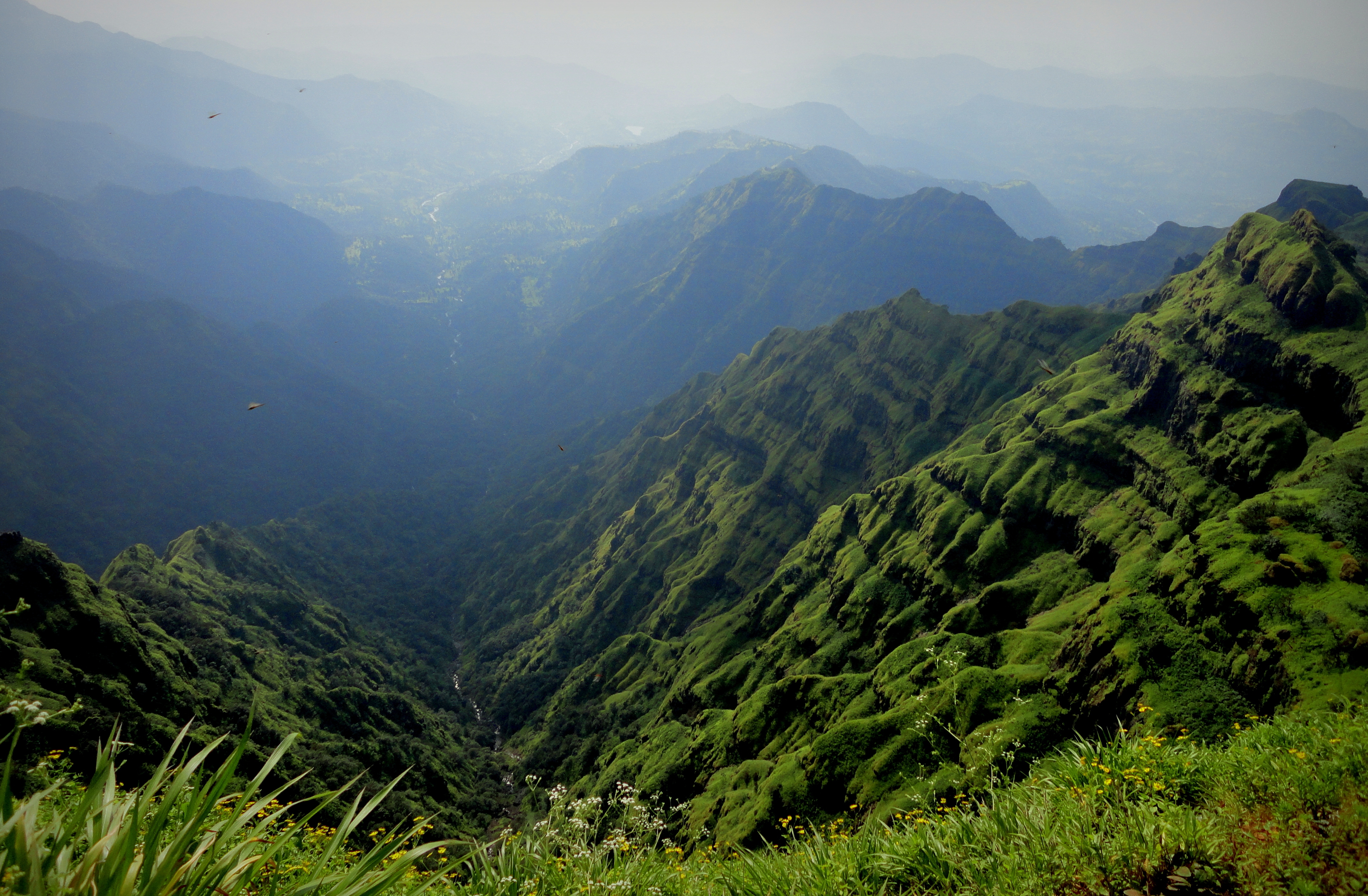Влажный холм. Тропические горные леса Индии. Керала горы джунгли. Ущелье Силин Китай. Юньнаньское Нагорье.